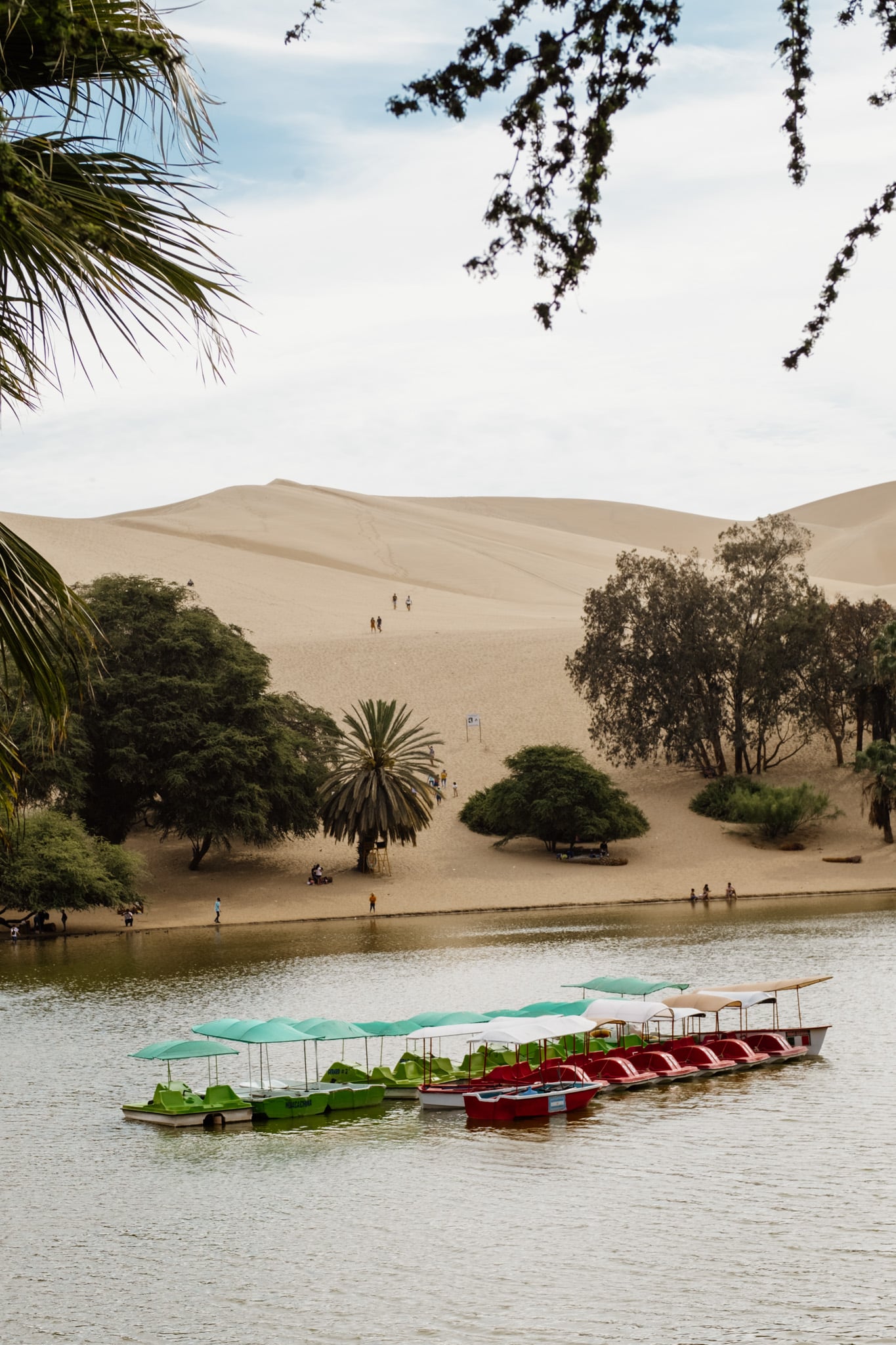 perou oasis huacachina : l'oasis