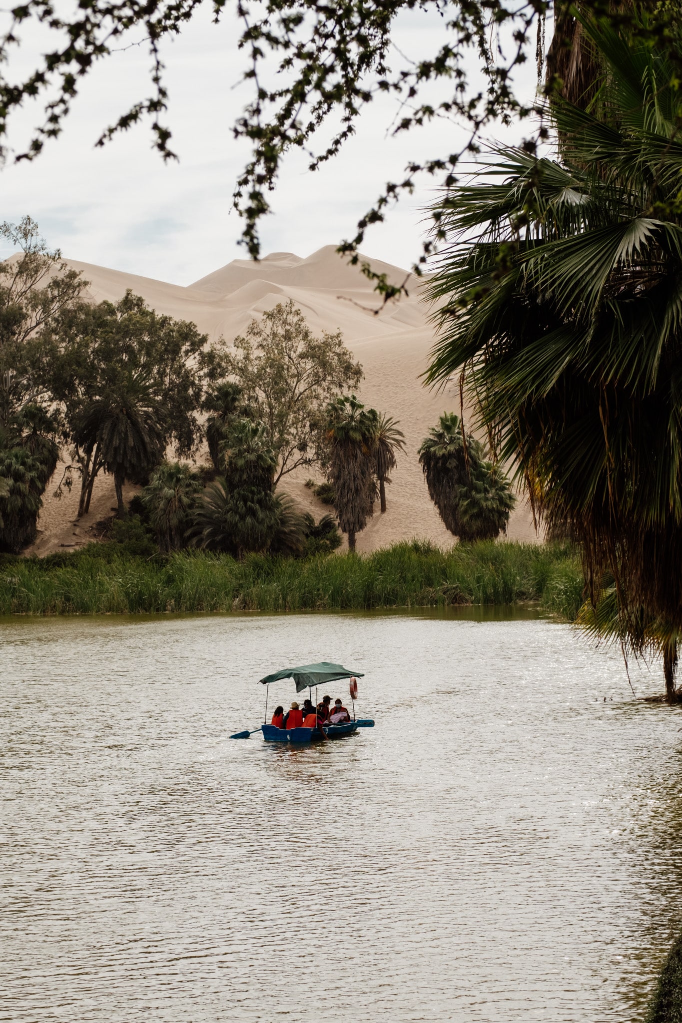 pedalo sur l'oasis de huacachina au perou