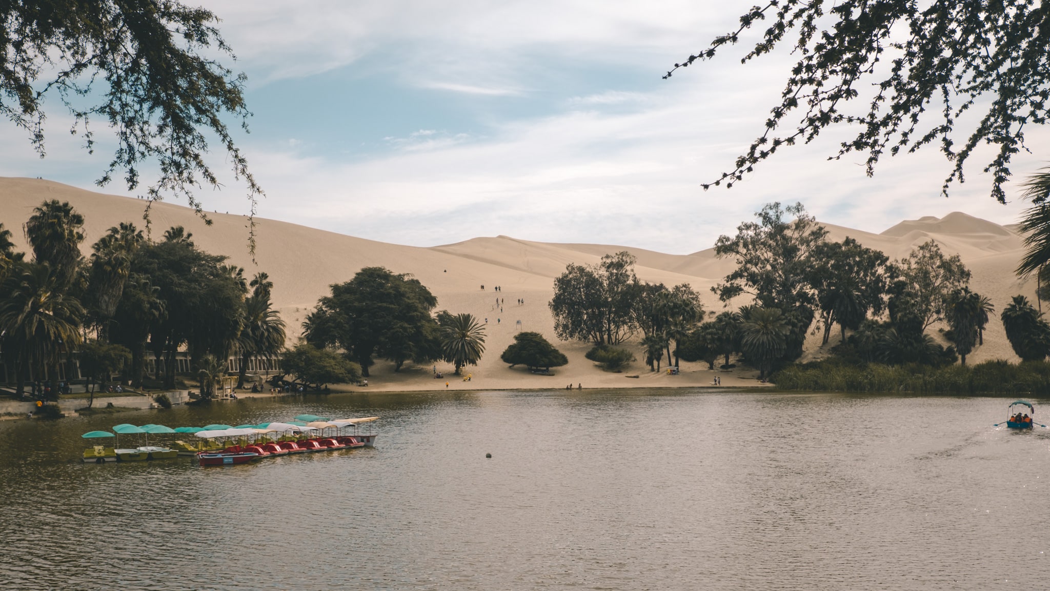 paysage curieux en plein desert