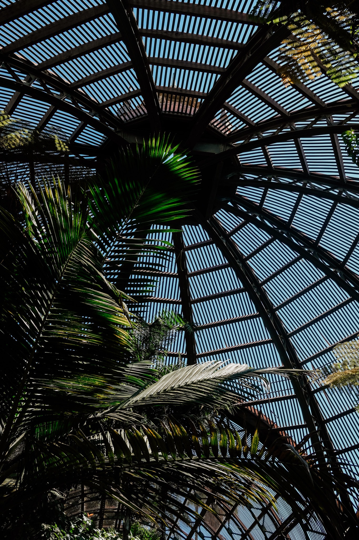 parc balbao guide san diego