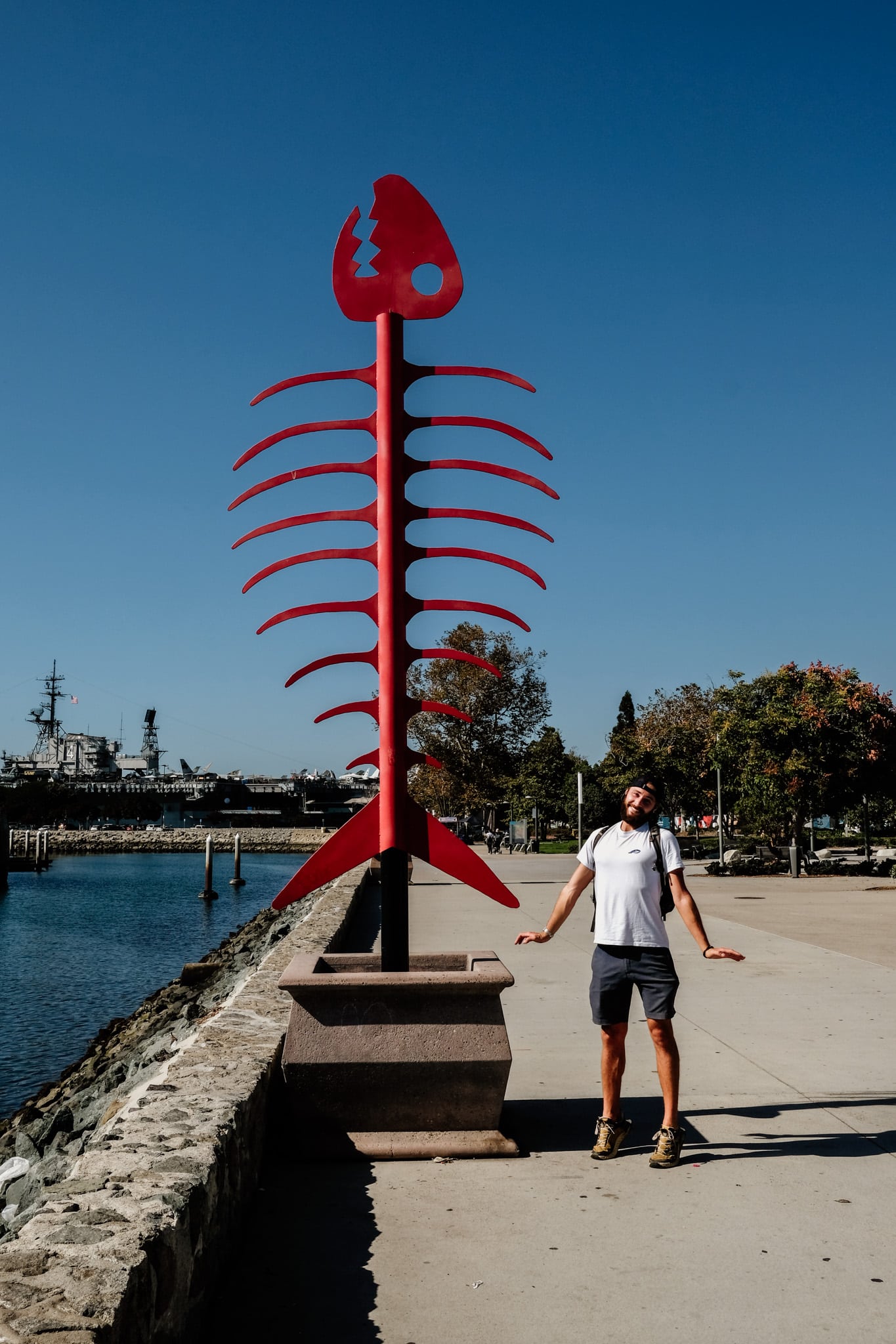 arrête de poisson sur le port