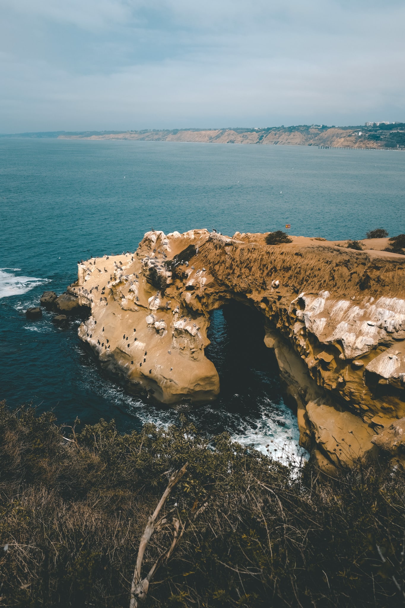 incontournable jolla cove