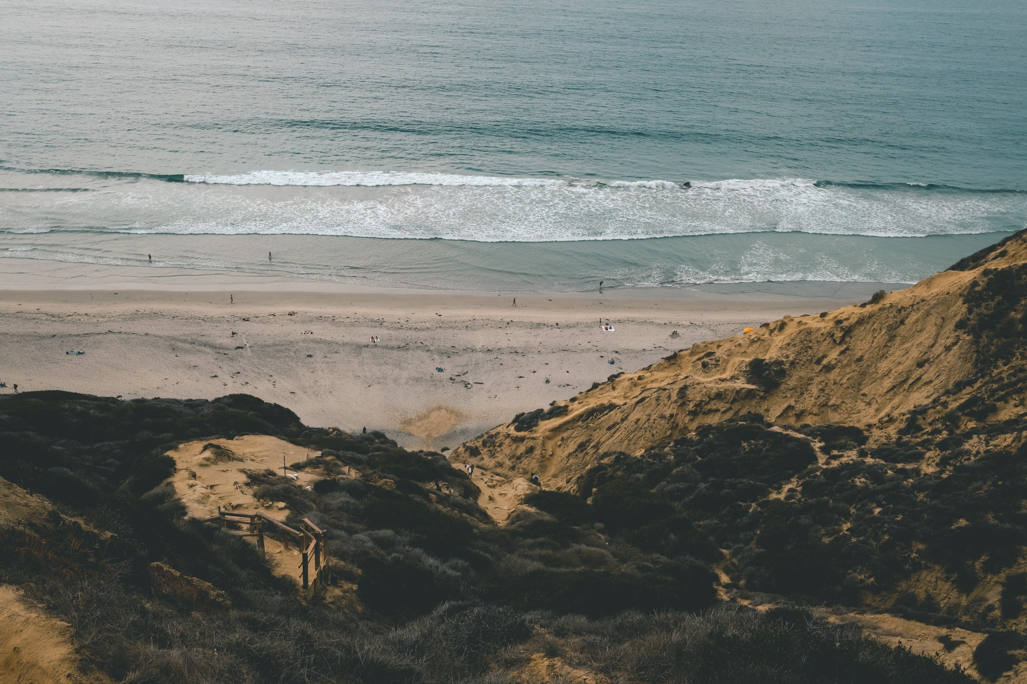 rando san diego torrey pine