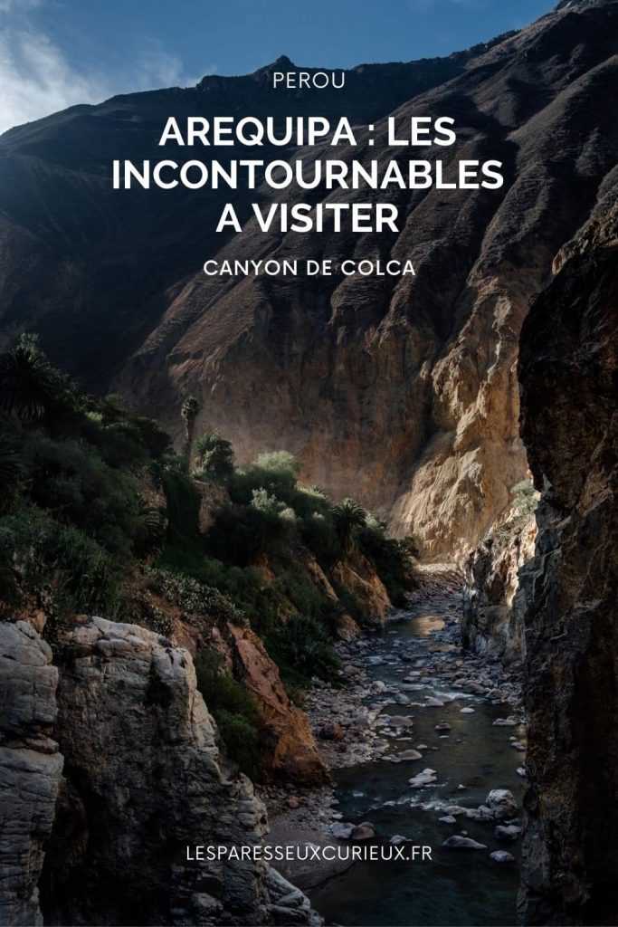 visiter arequipa au perou : randonner au canyon de colca