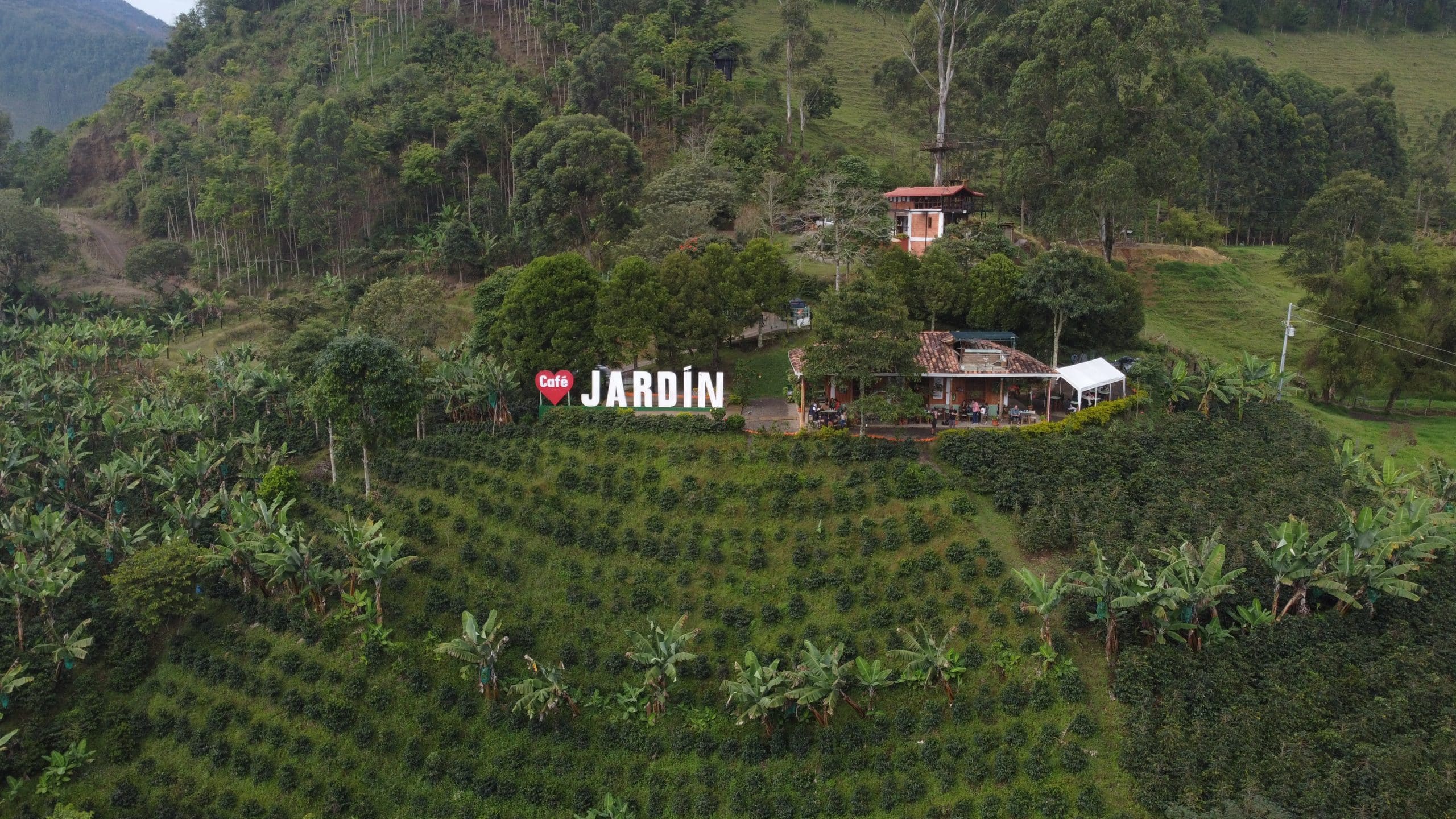 jardin drone de voyage
