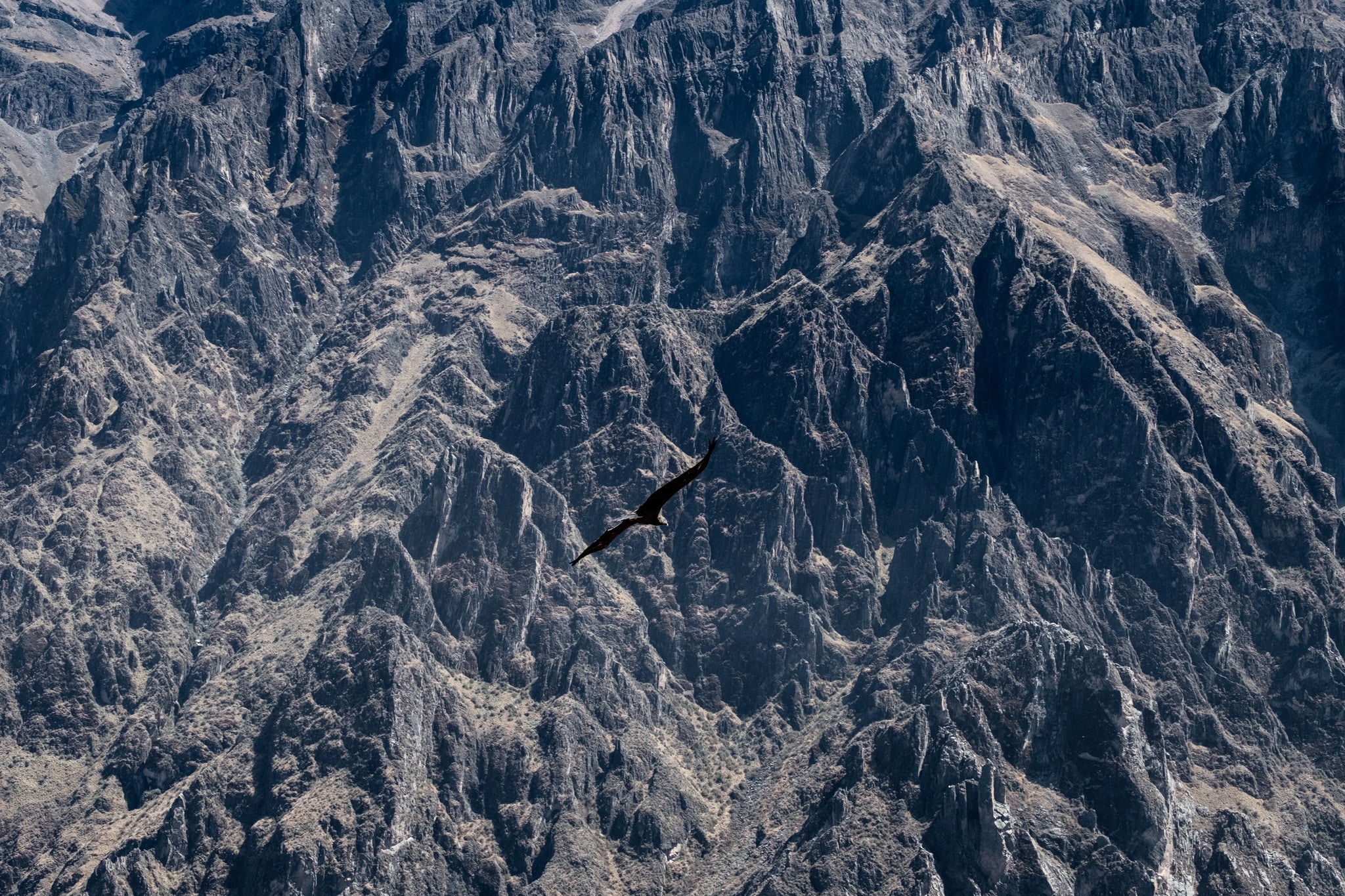 visiter canyon de colca arequipa