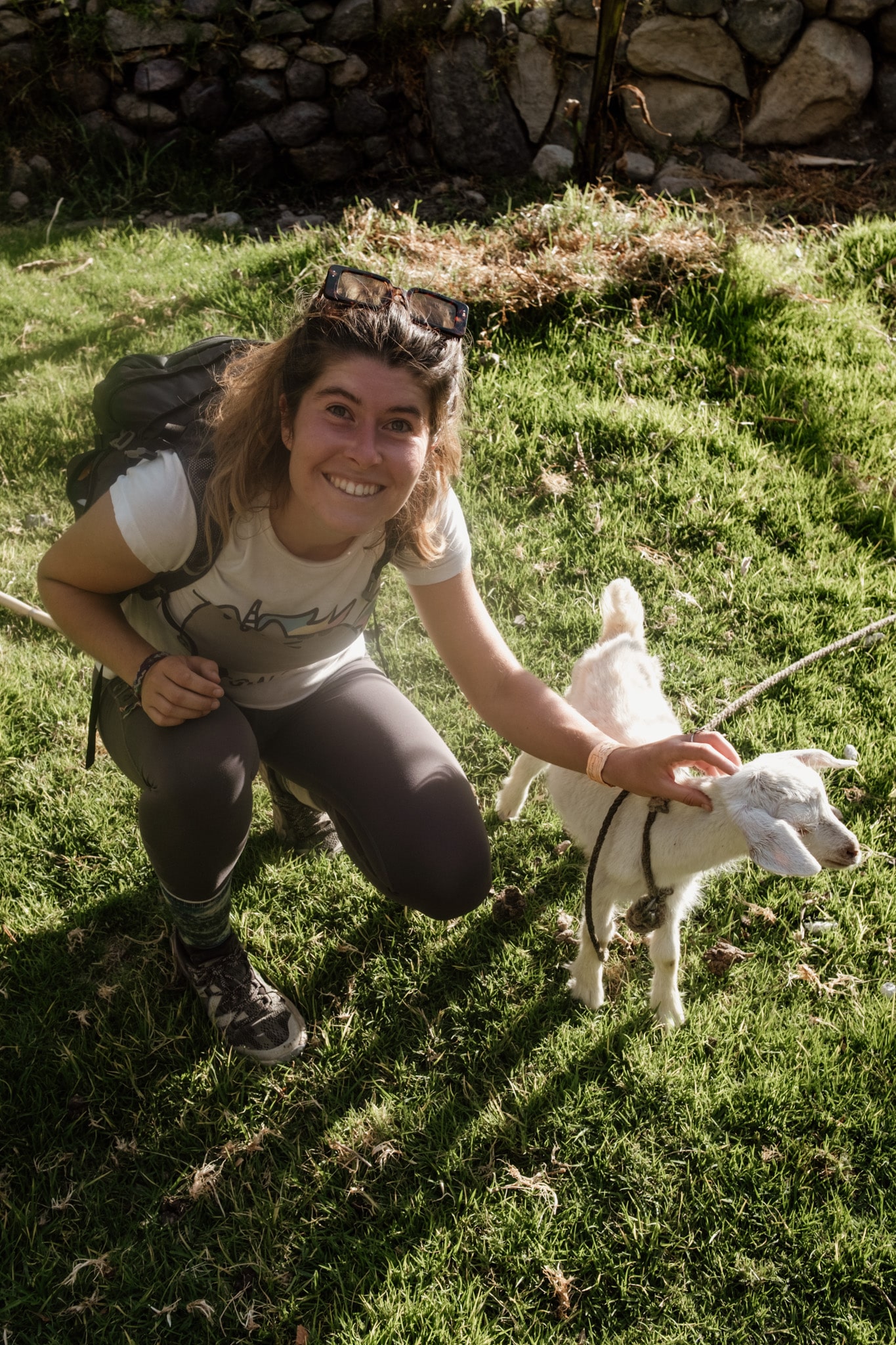 chevre mignonne sangalle