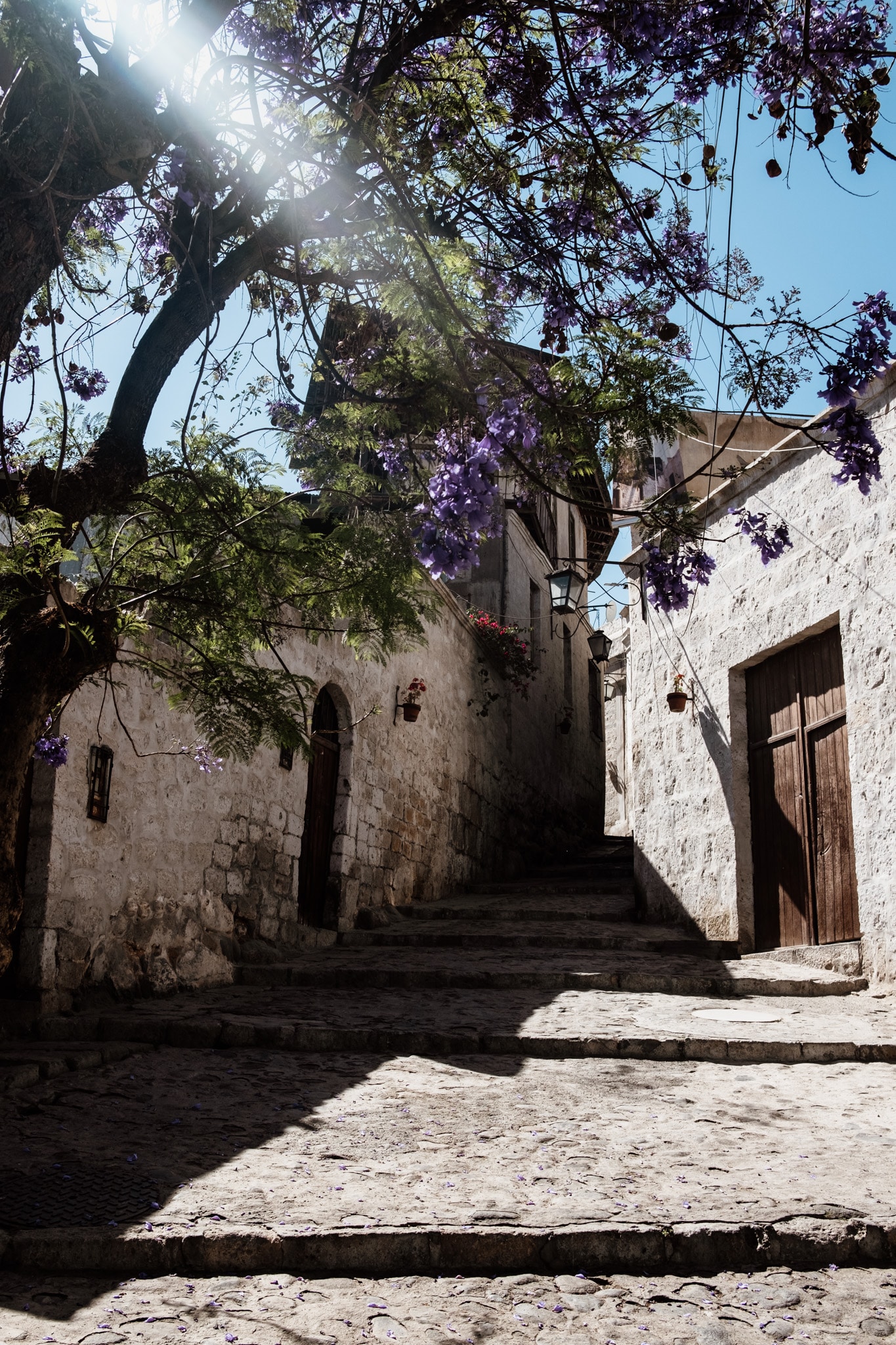 zemanat picanteria arequipa