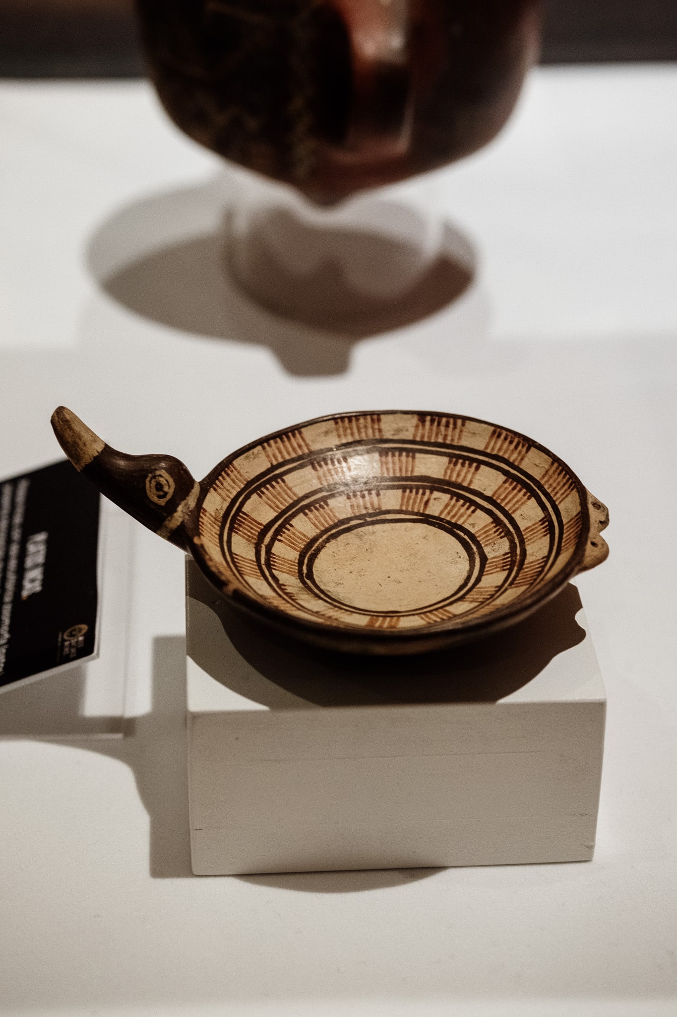 museo santuarios andinos visiter arequipa