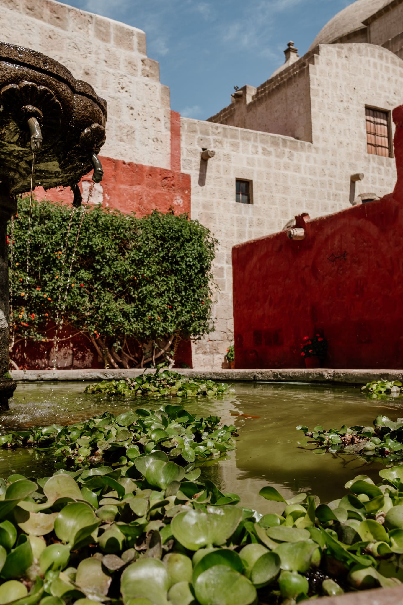 jardin covento santa catalina
