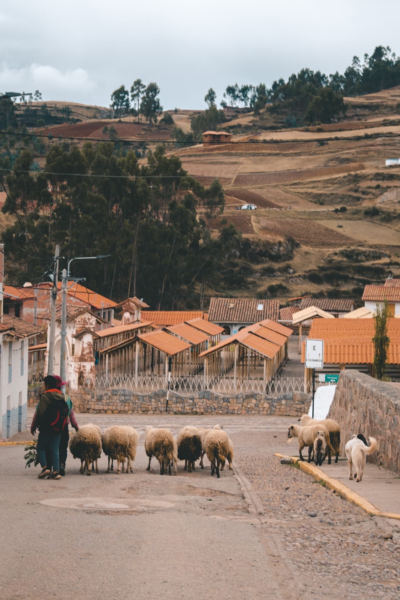 scene de vie valle sacree