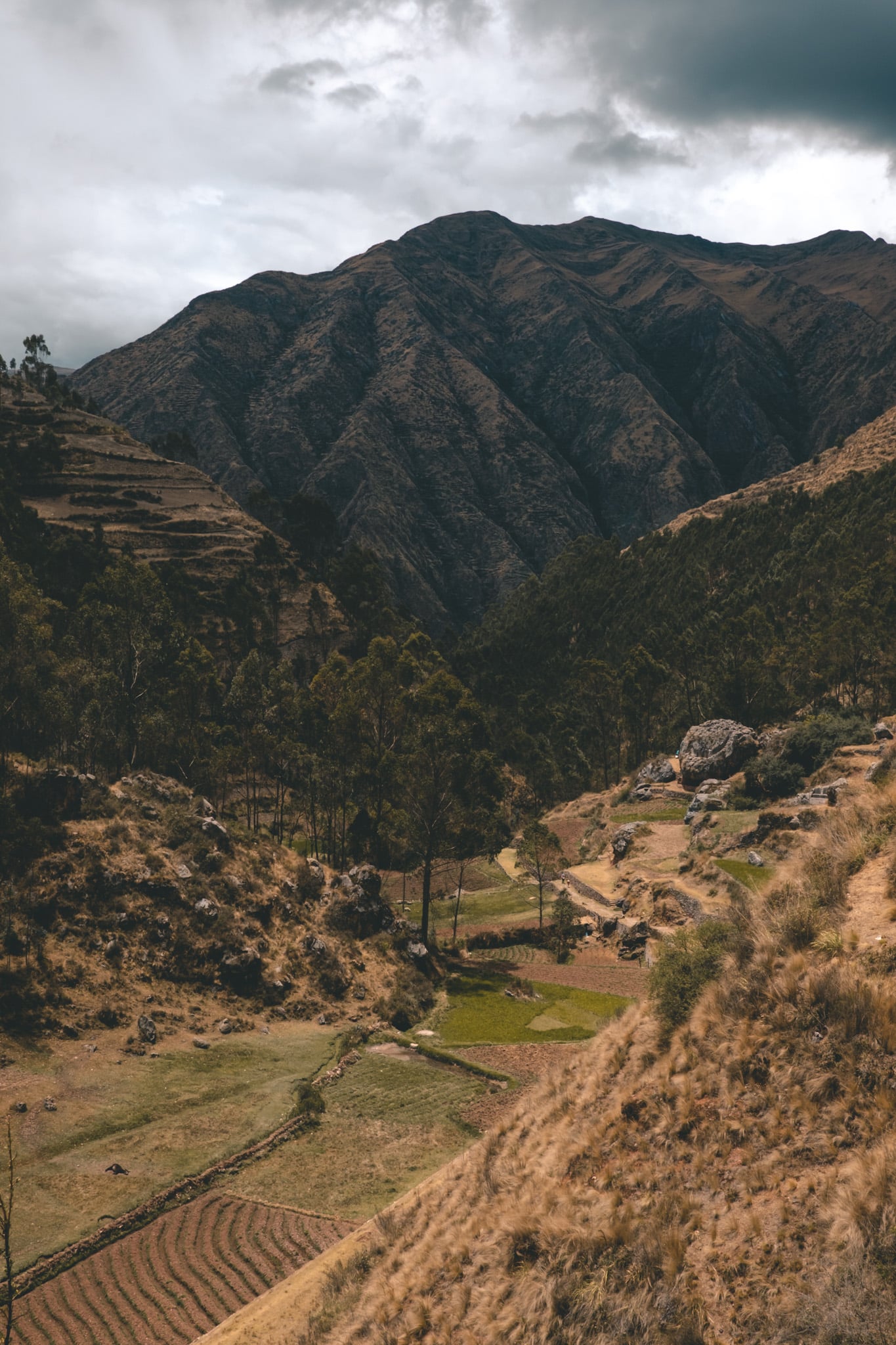 terrasses agricoles chinchero