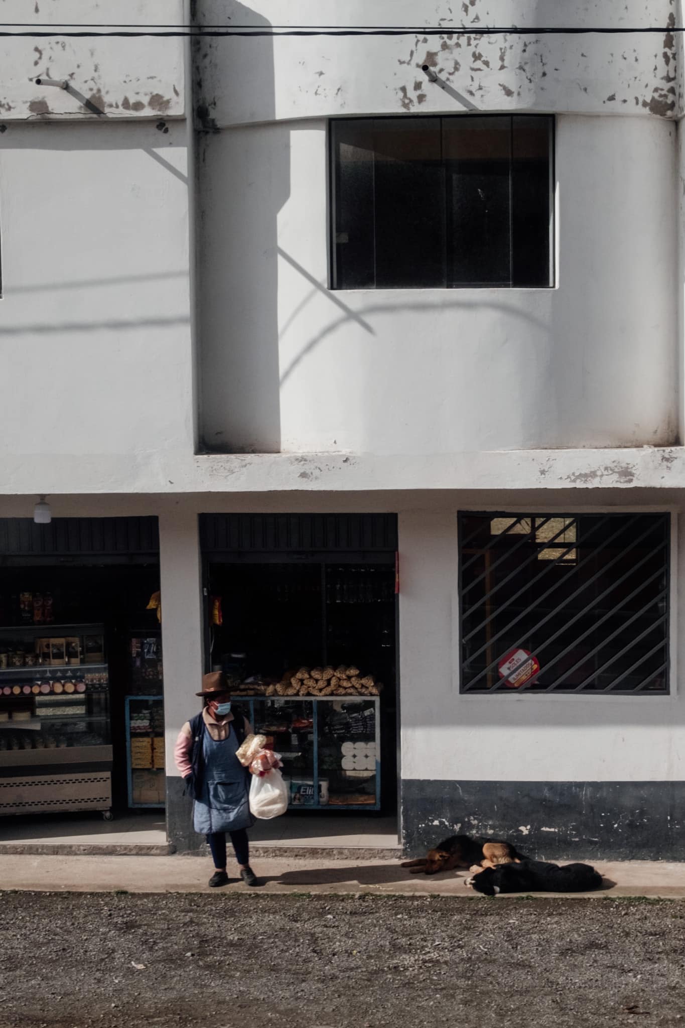 chien et dame à cusco