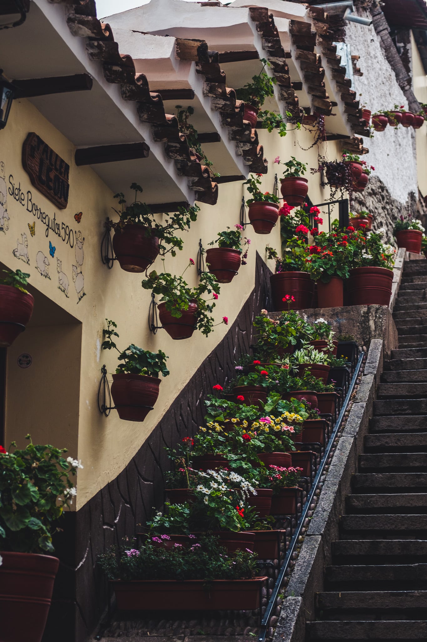 plein de pots de fleurs a cuzco