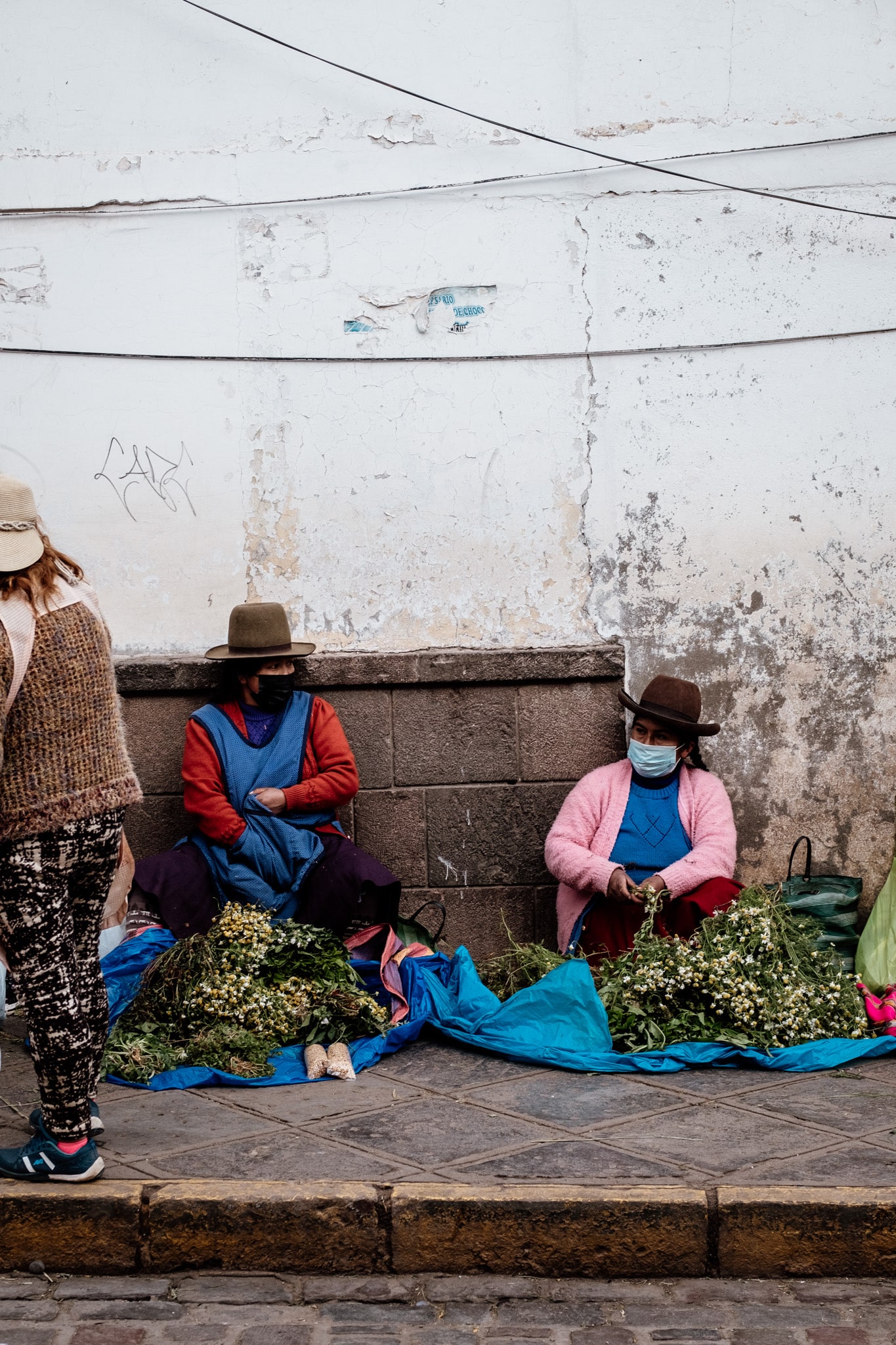 ventes de plante en bord de rue