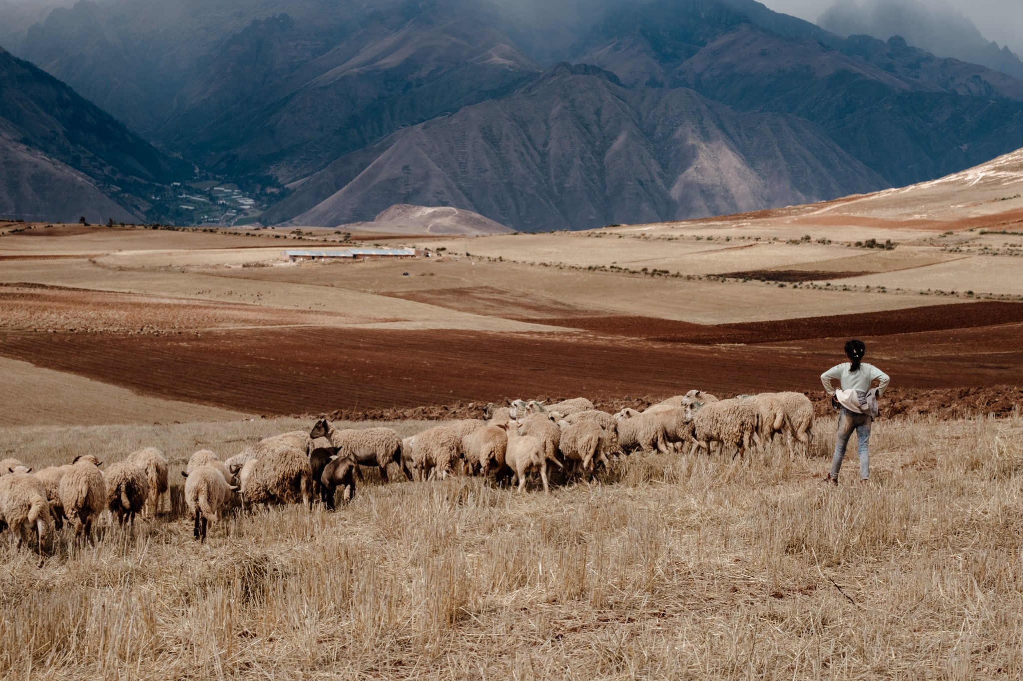 bergerie dans les montagnes péruviennes