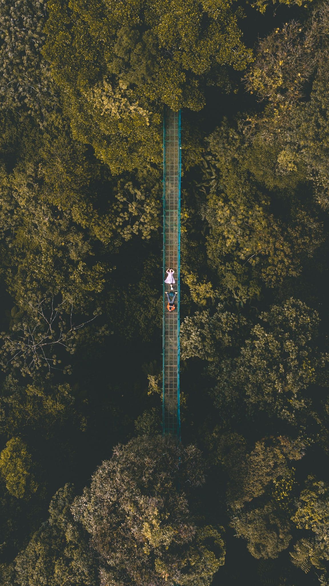 monteverde costa rica drone