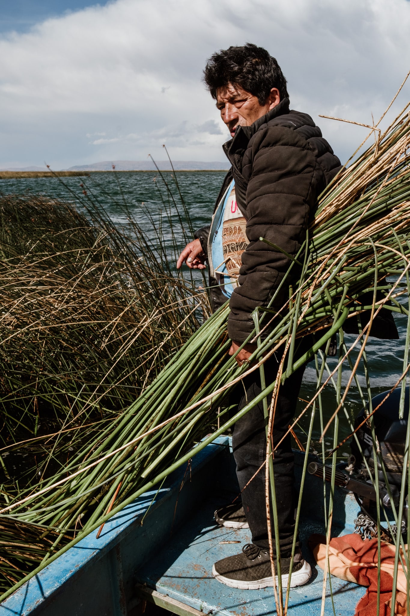 nicador et la totora