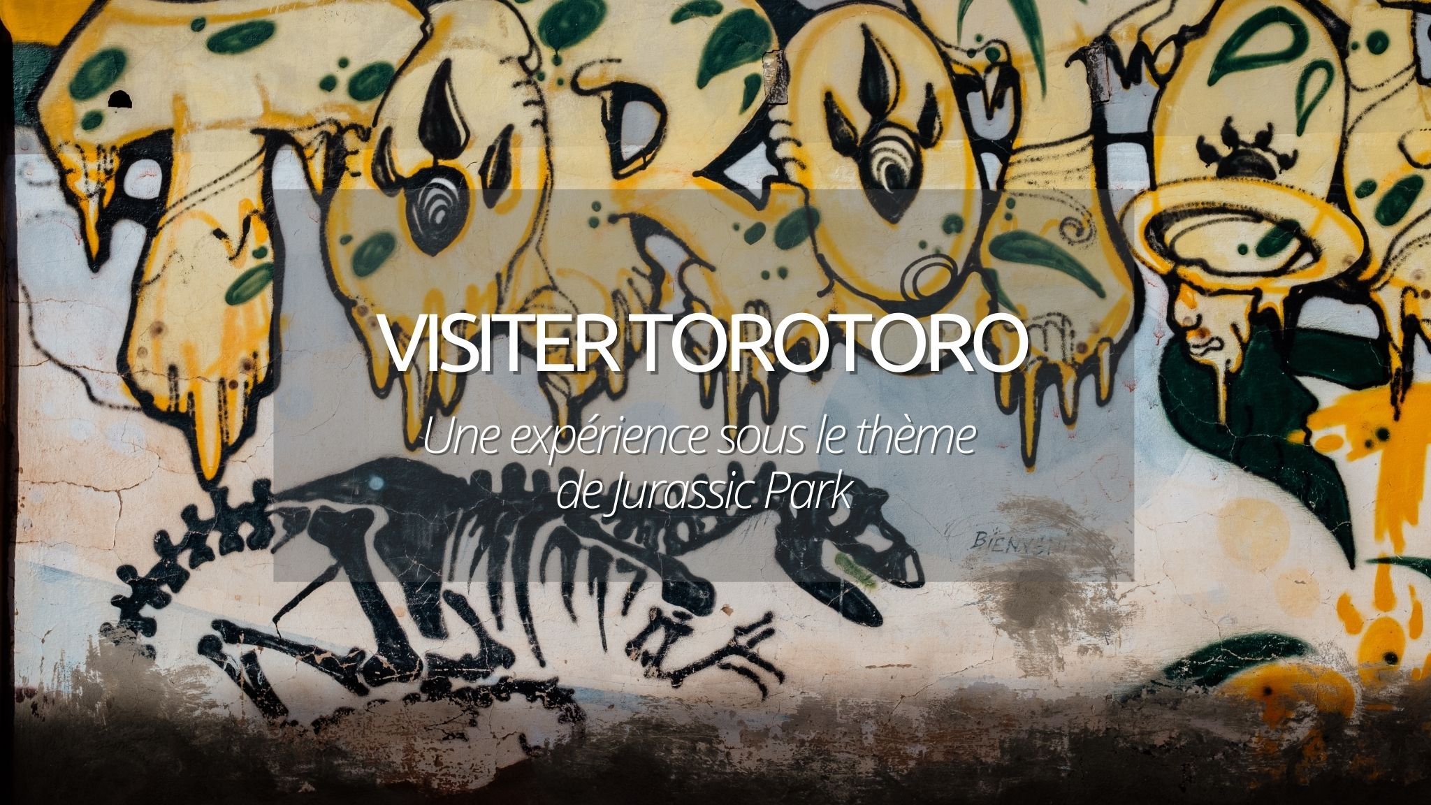 couverture visiter torotoro bolivie