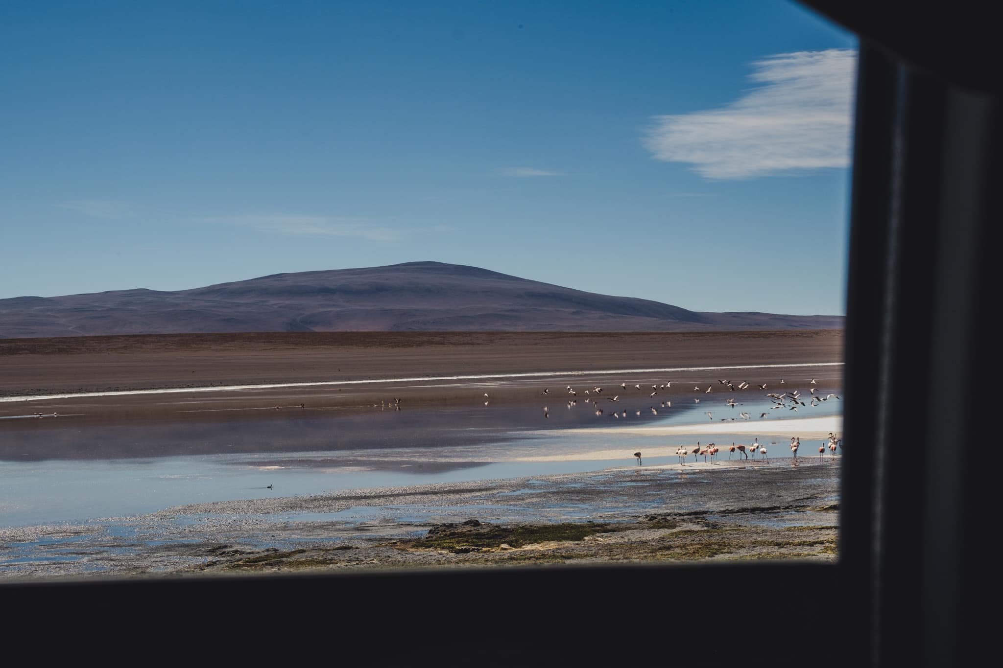 lagune bolivie visiter salar uyuni