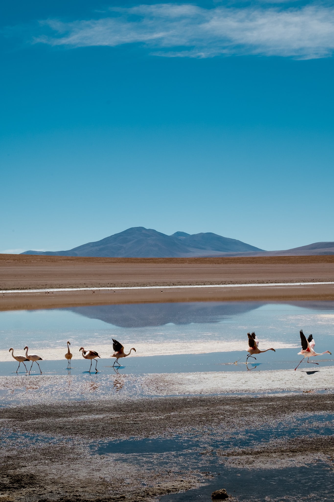 paysage tour salar uyuni