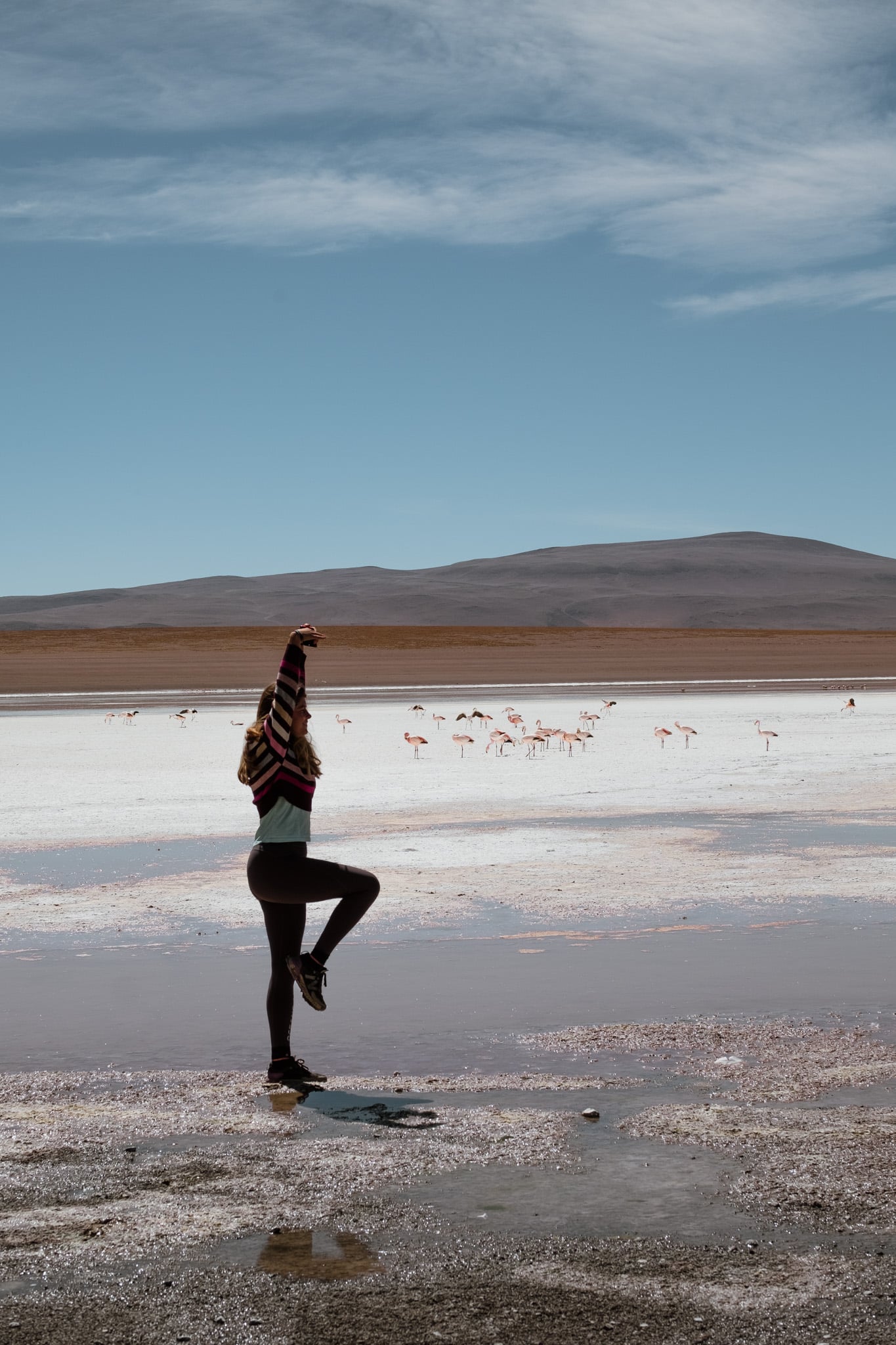 visiter salar uyuni flamands roses