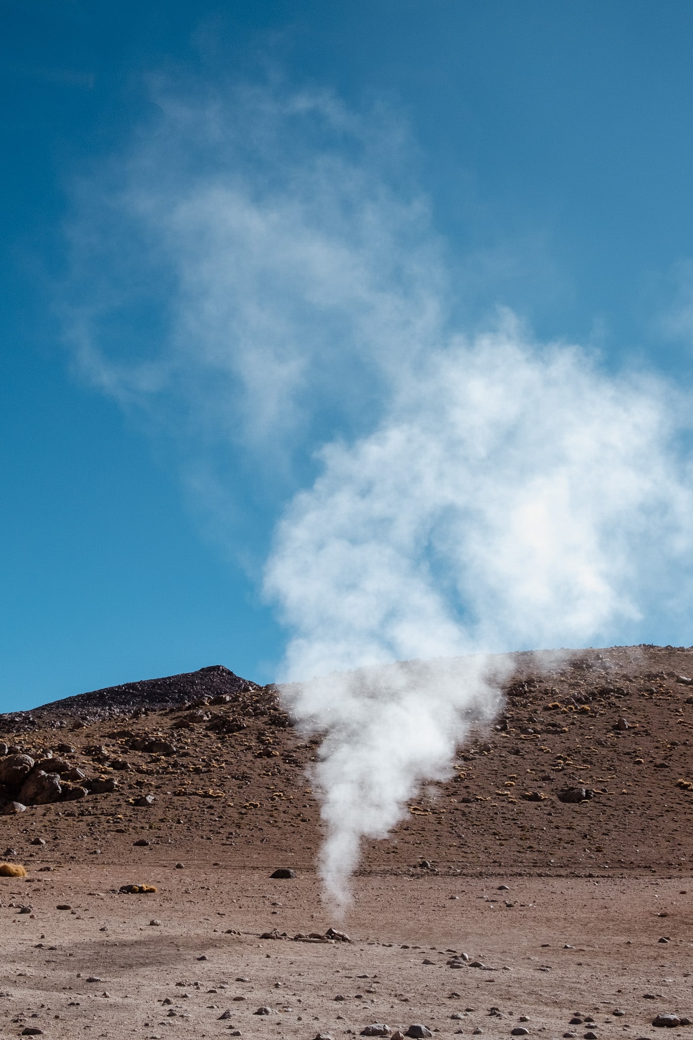 sortie de gaz bolivie desert