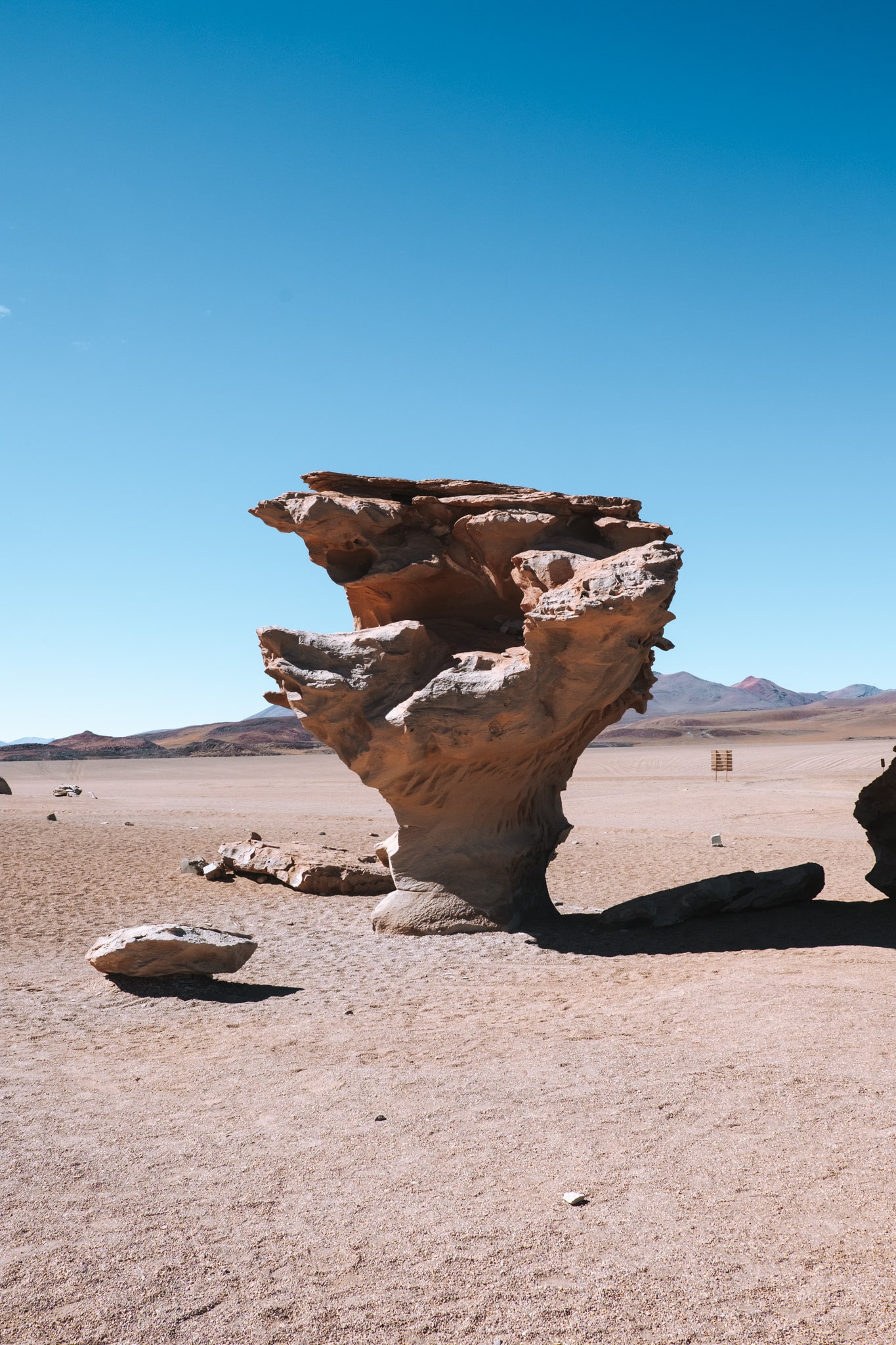 excursion salar uyuni bolivie arbol de piedra