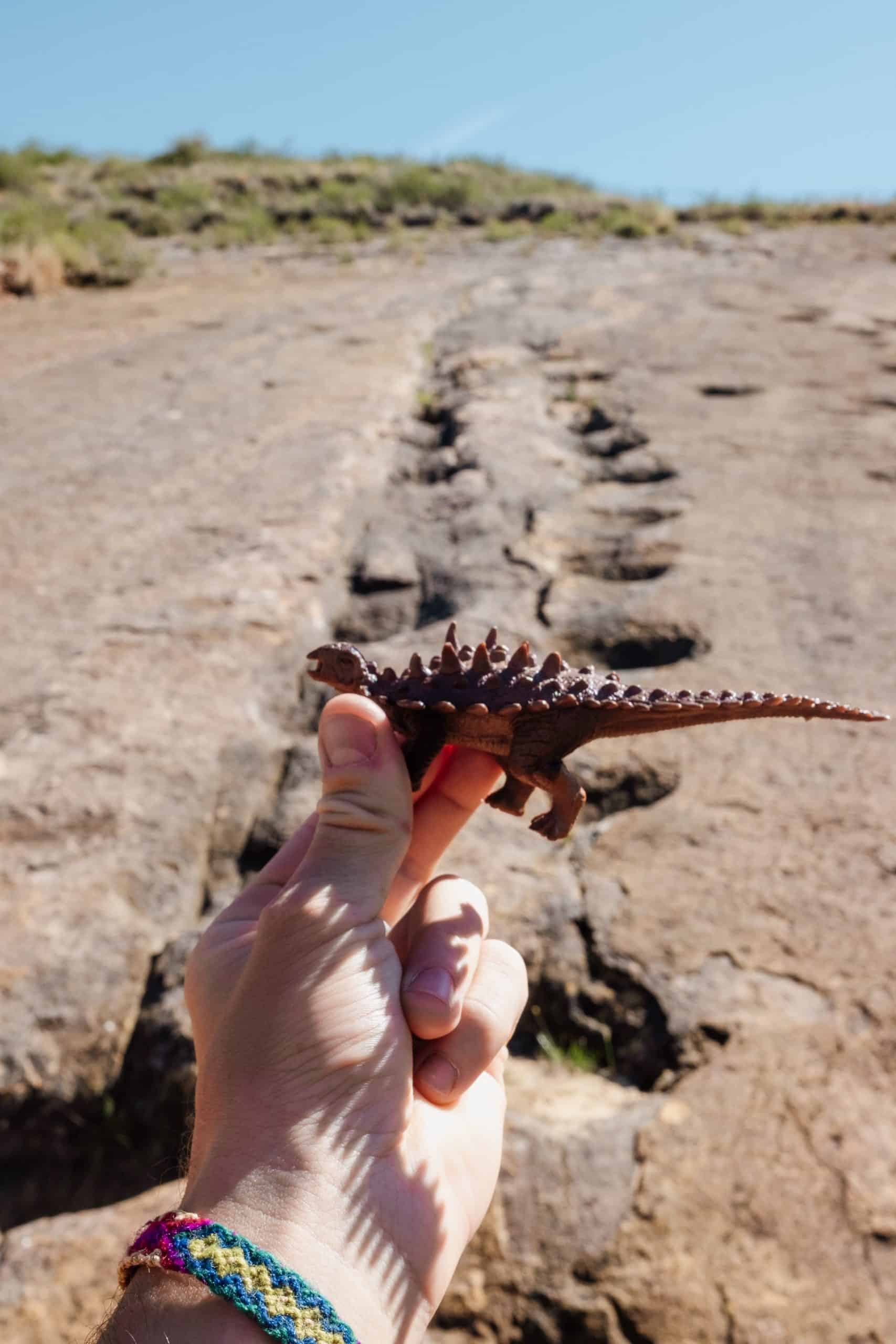 differents types d'empreintes à observer