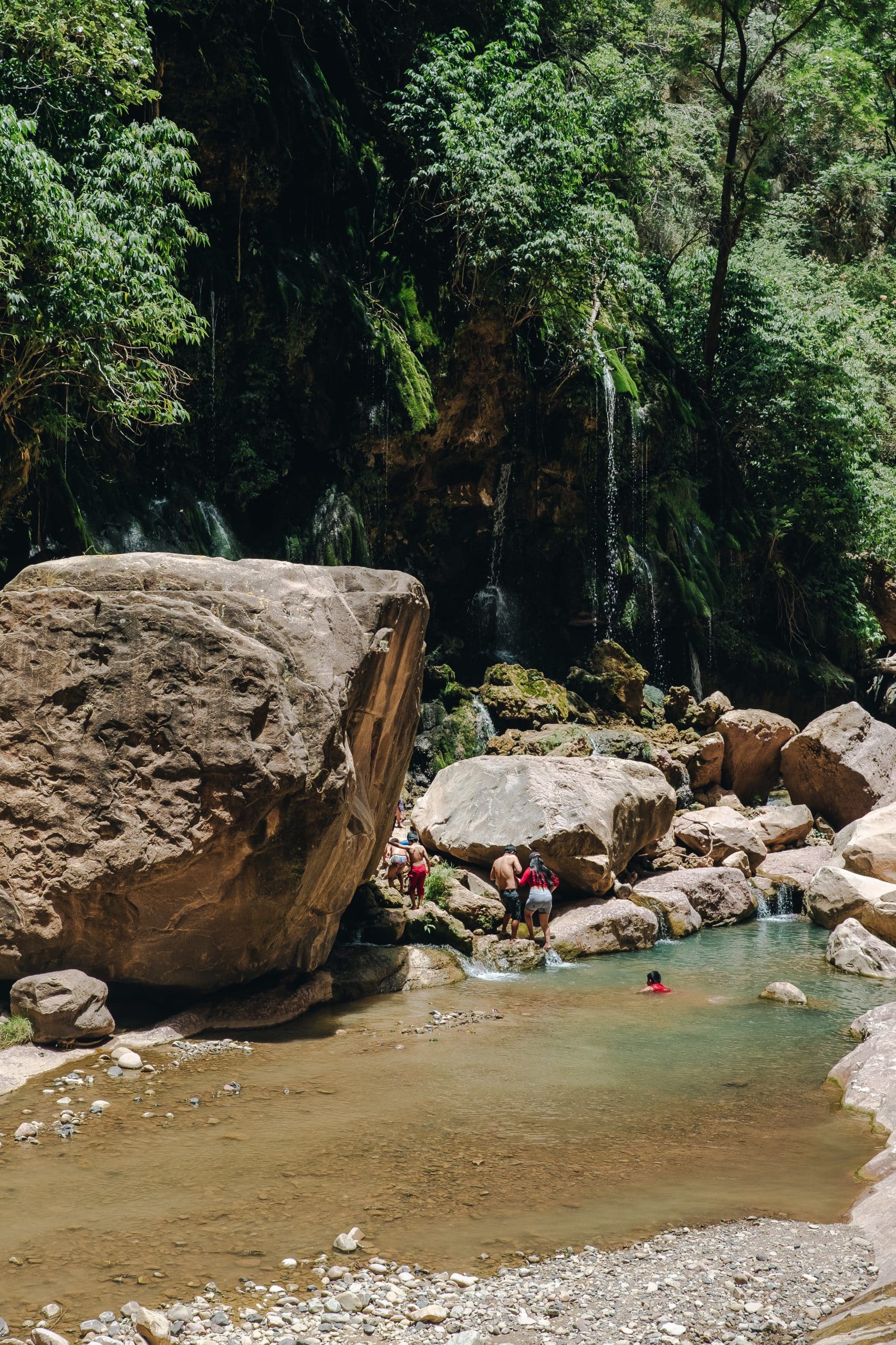 visiter parc national toro toro