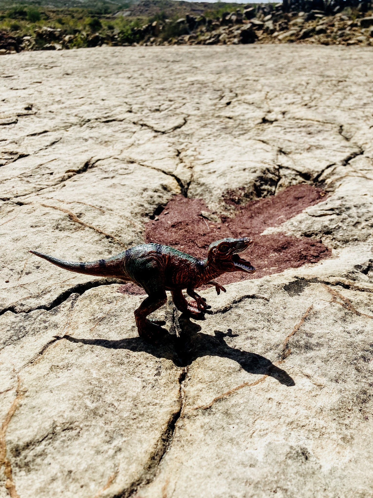 voir des empreintes de dinosaures en bolivie