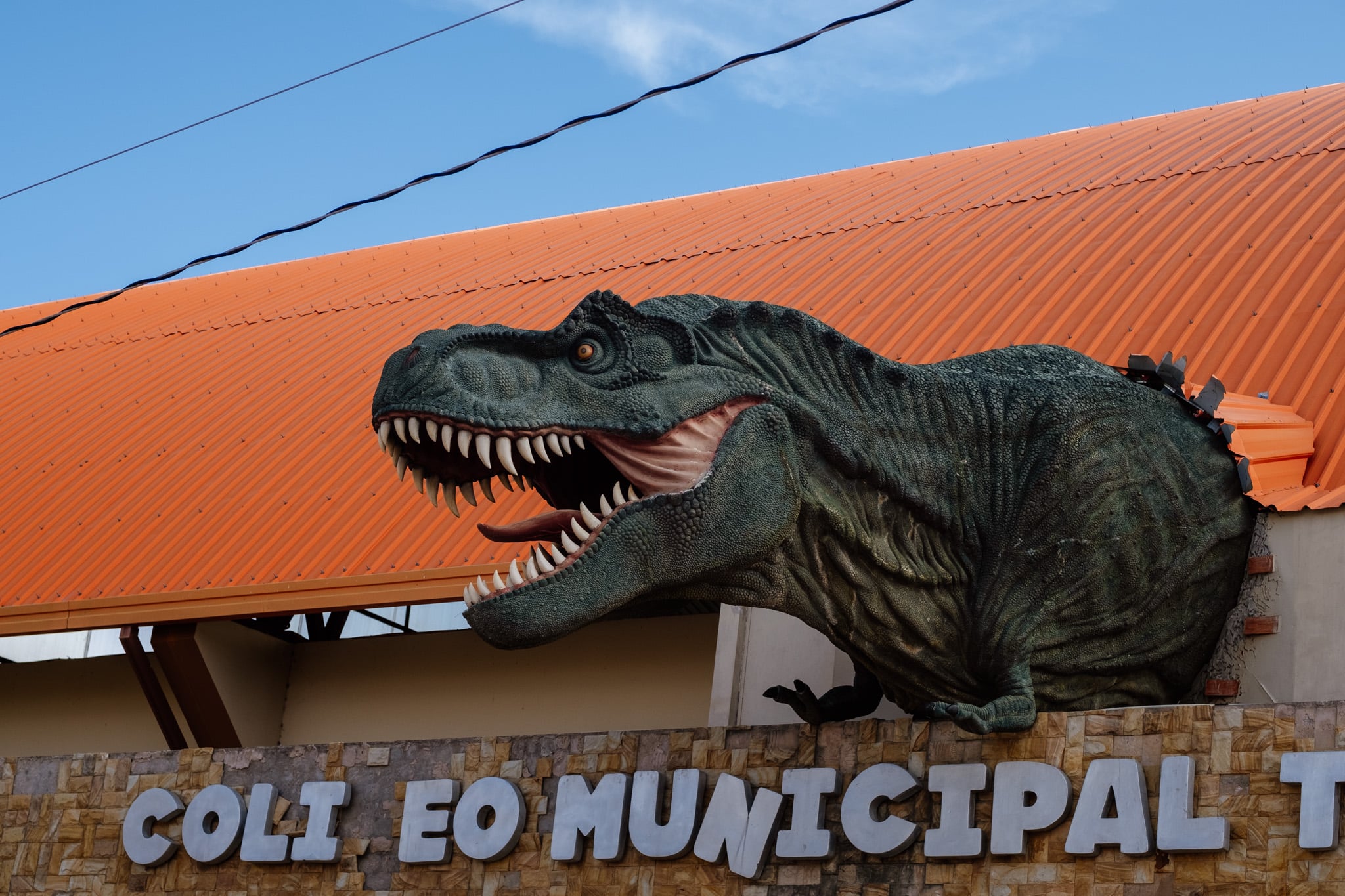 colegio municipal toro toro