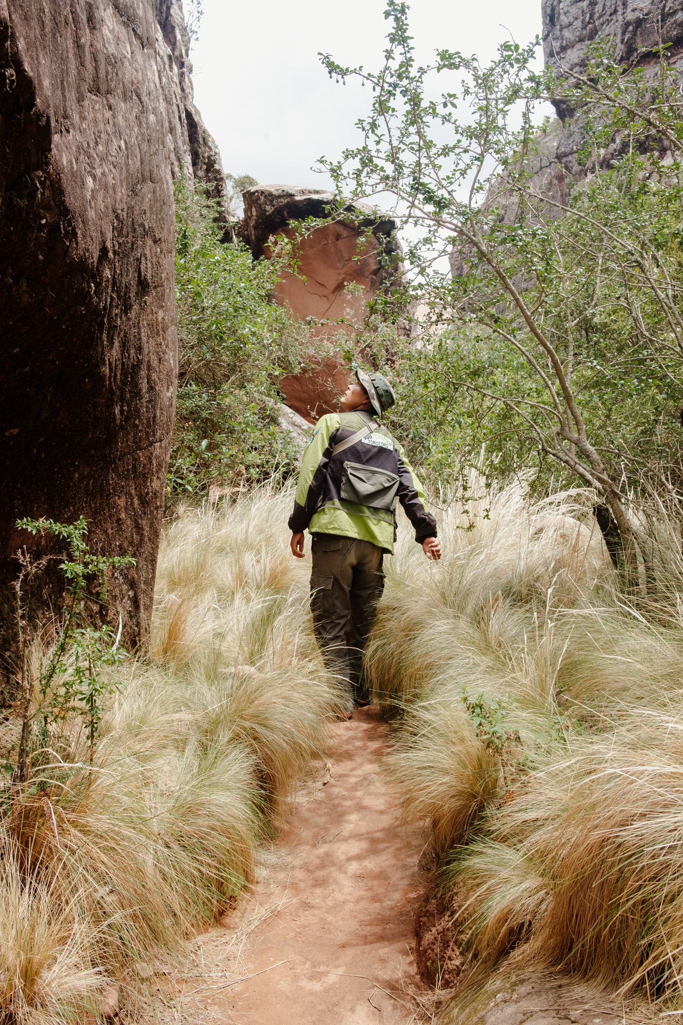 guide visiter toro toro