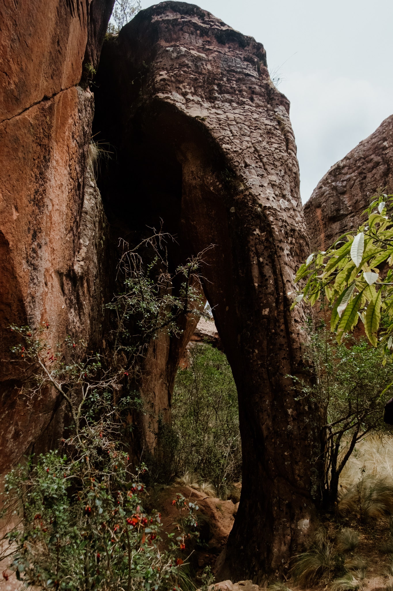 toro toro elephant ciudad de itas
