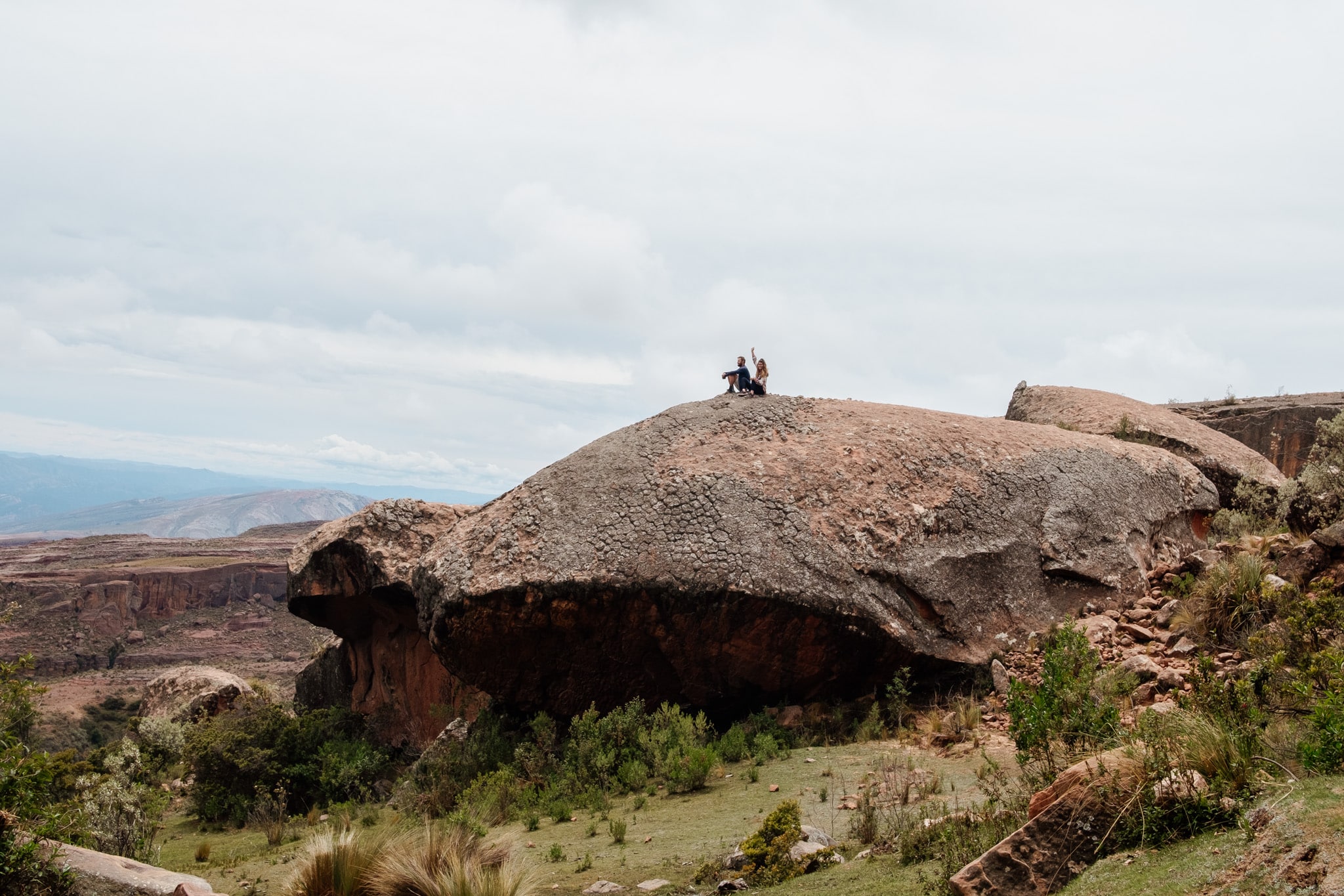 carapace tortue parc national toro toro