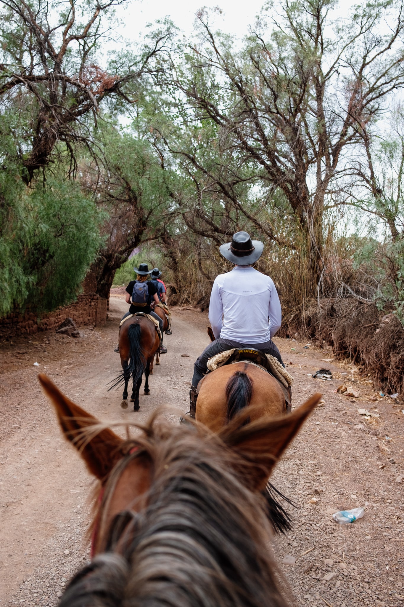 d ou partir pour visiter le salar d uyuni