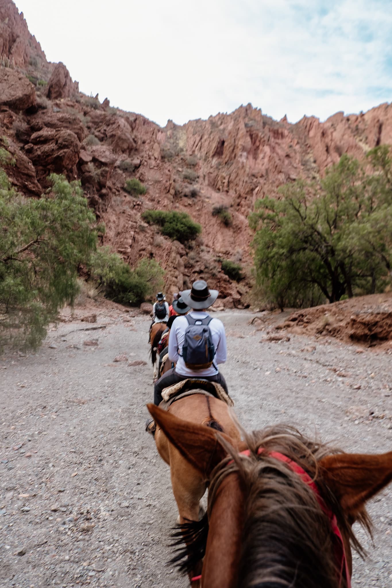 sortie chevaux tupiza bolivie