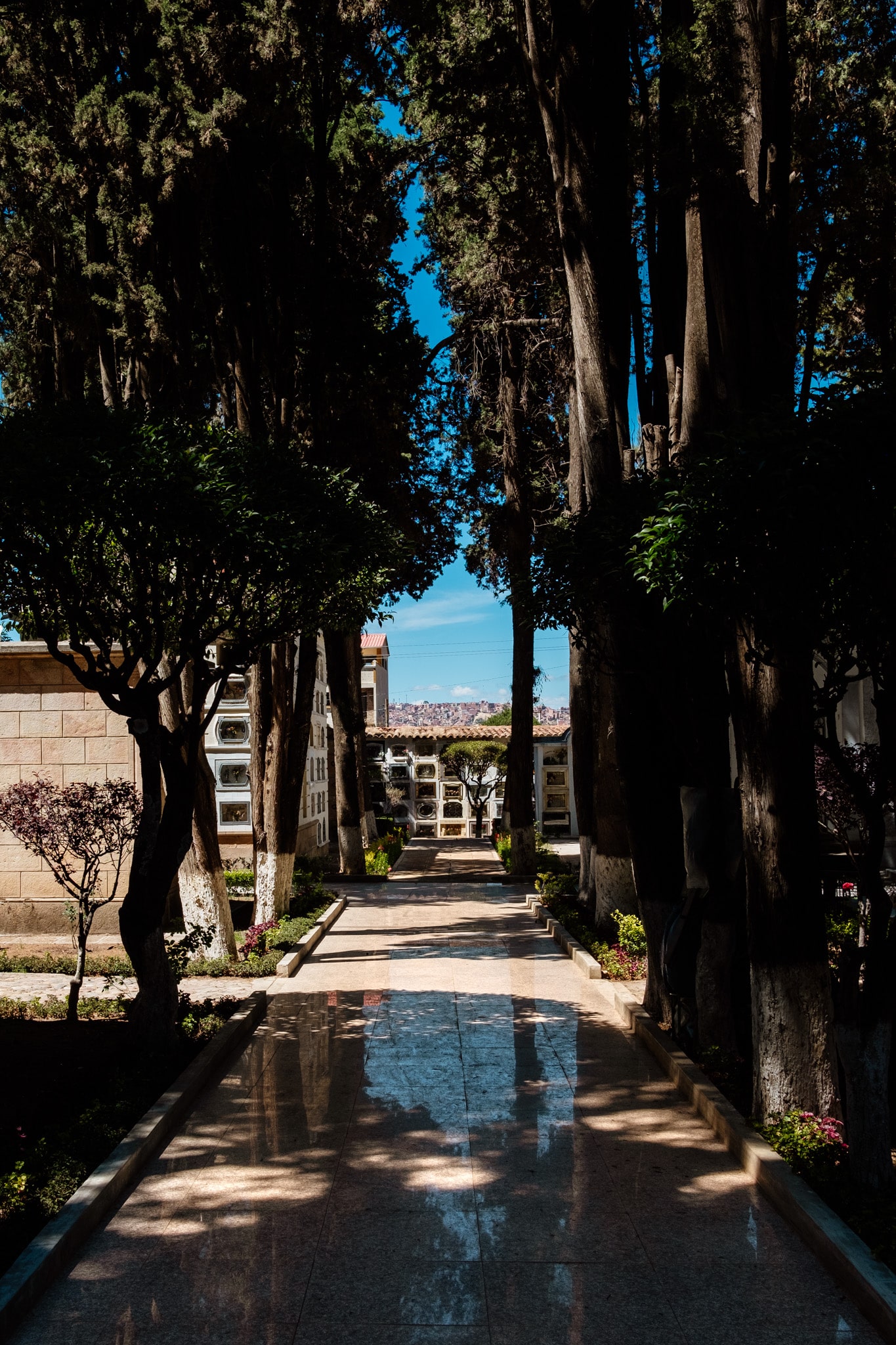 cimetiere sucre bolivie