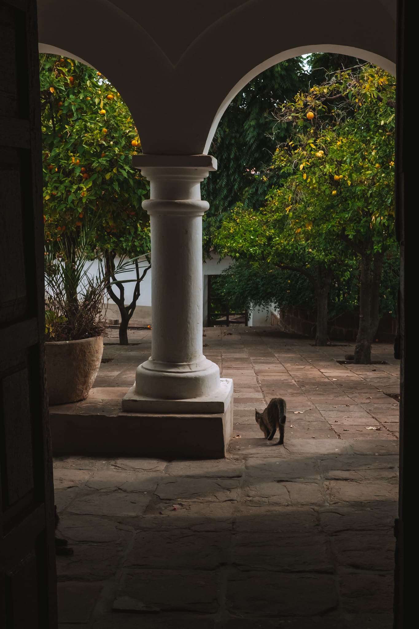 sucre bolivie monasterio recoletta