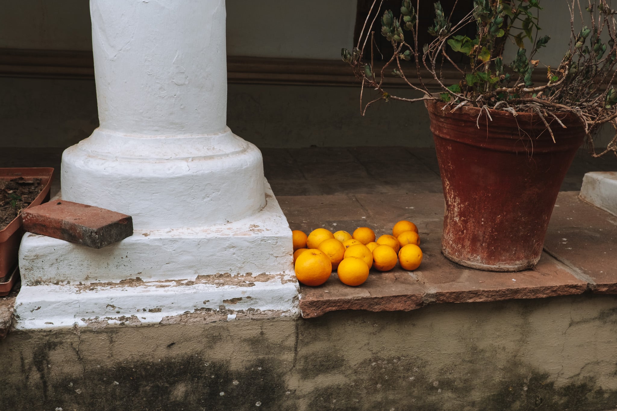 oranges monasterio recoletta