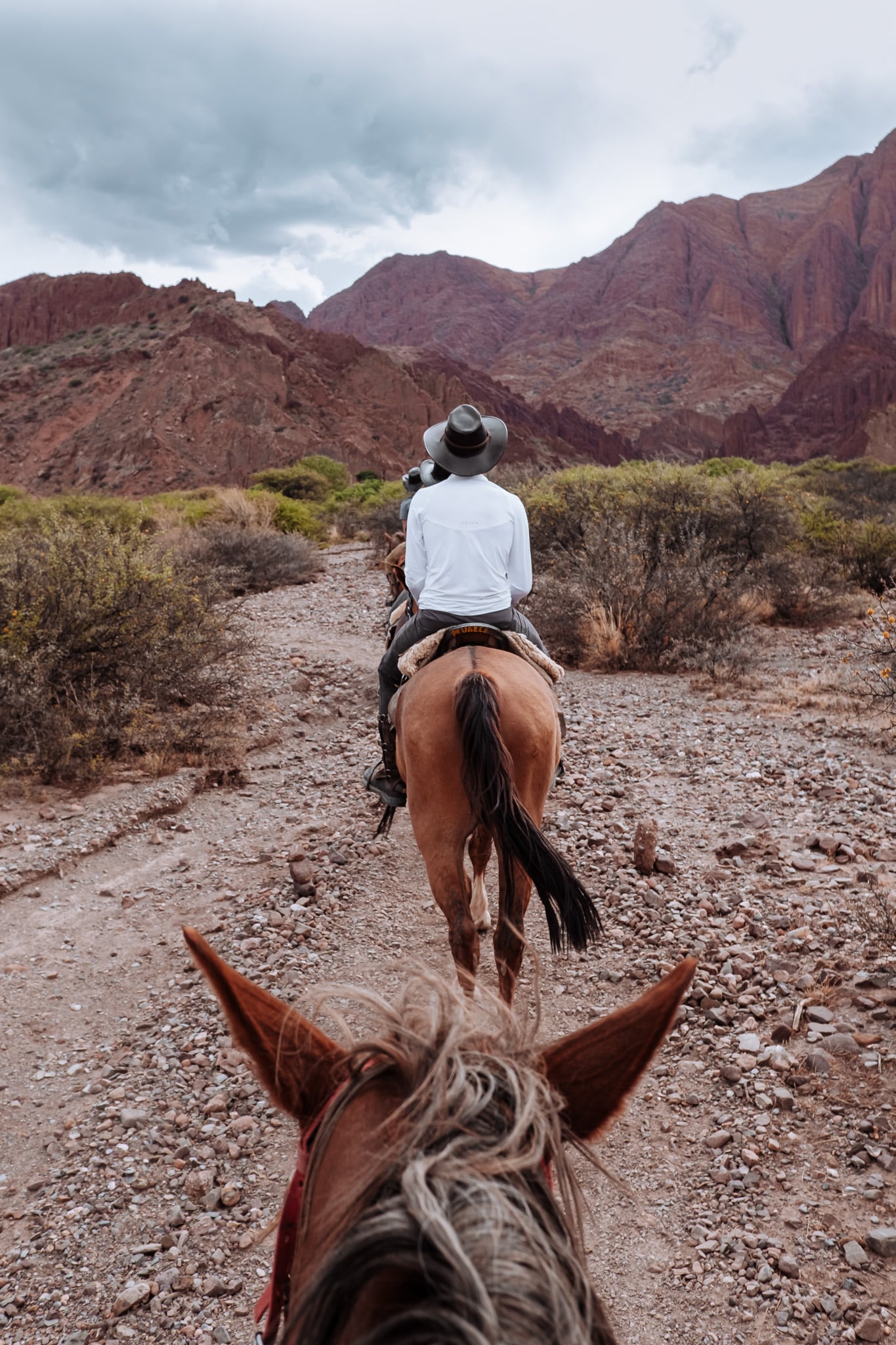 voyage bolivie tupiza