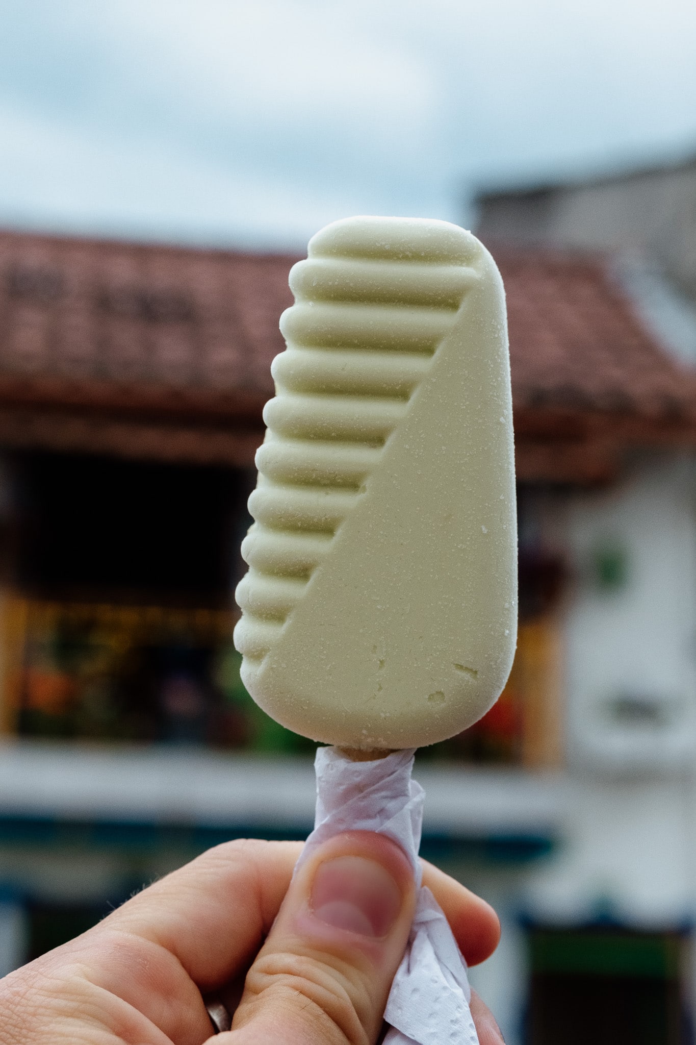 glace à l'avocat à Buenavista, Quindio Colombie