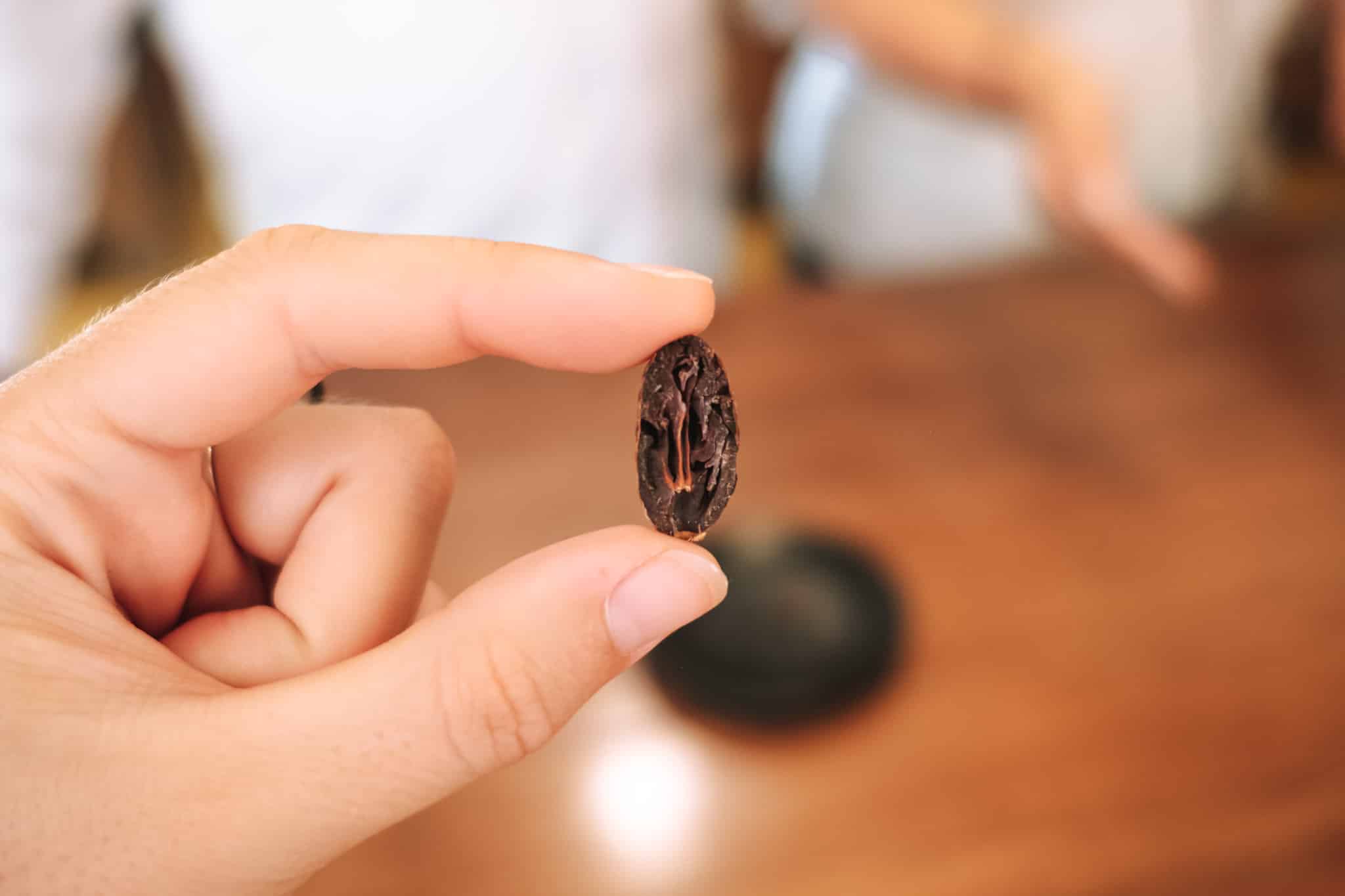 Fève de cacao torréfiée et ouverte, Quindo Colombie