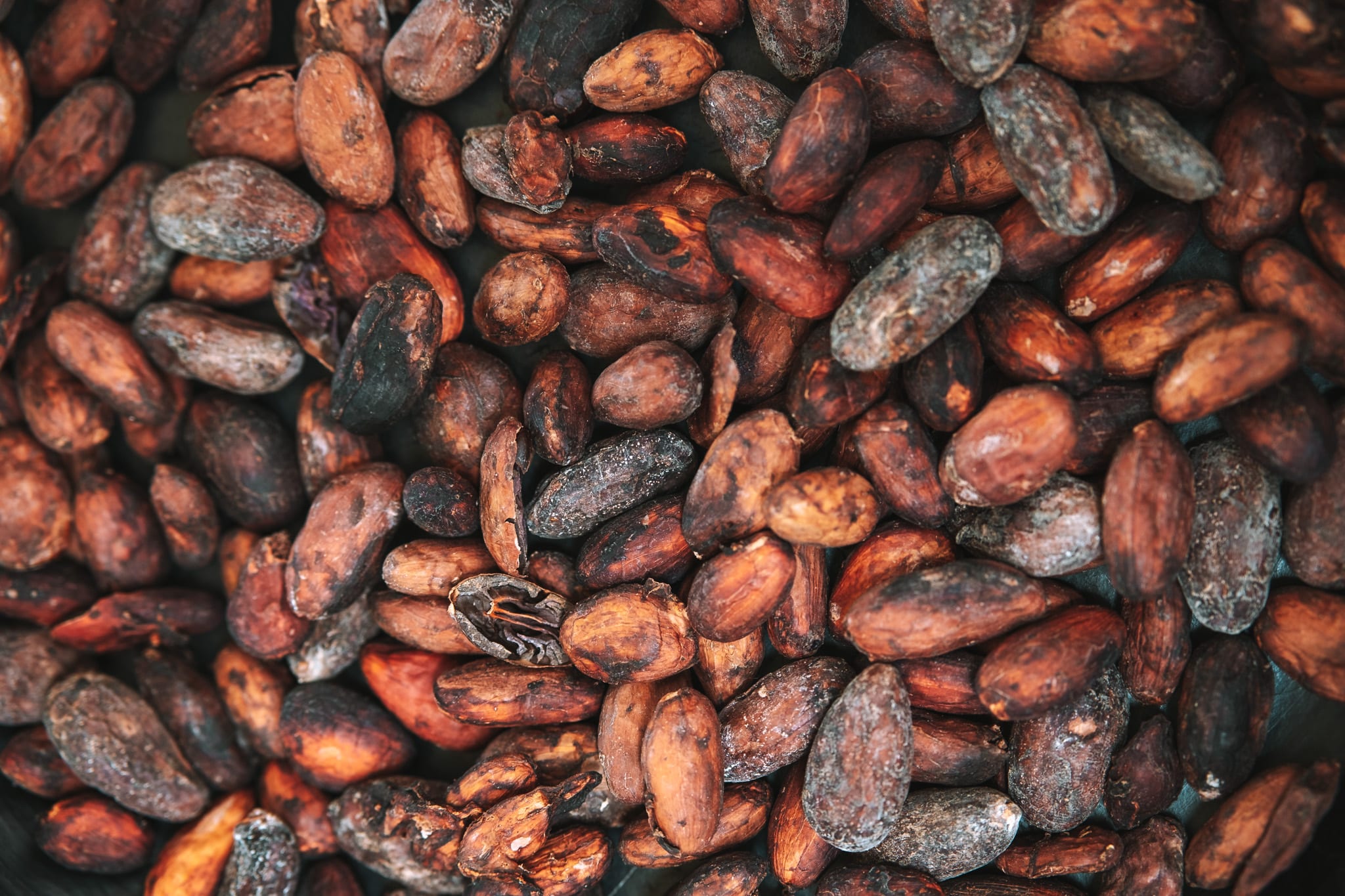 Fèves torréfiées, Quindo Colombie