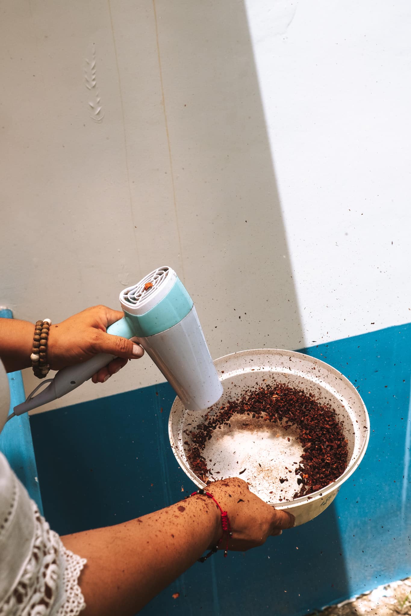 Separation de la fève et de l'écorce du cacao