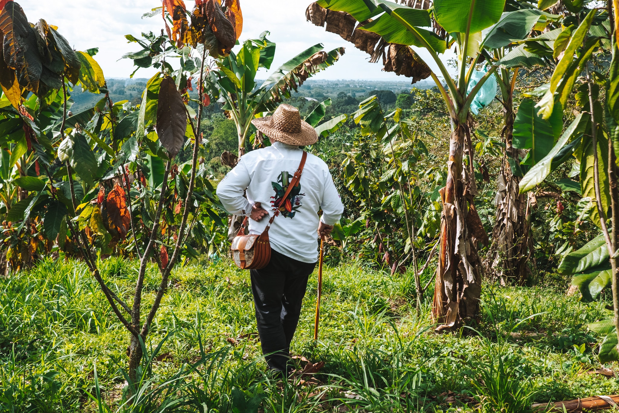 José dans la plantation de café, Quindo Colombie