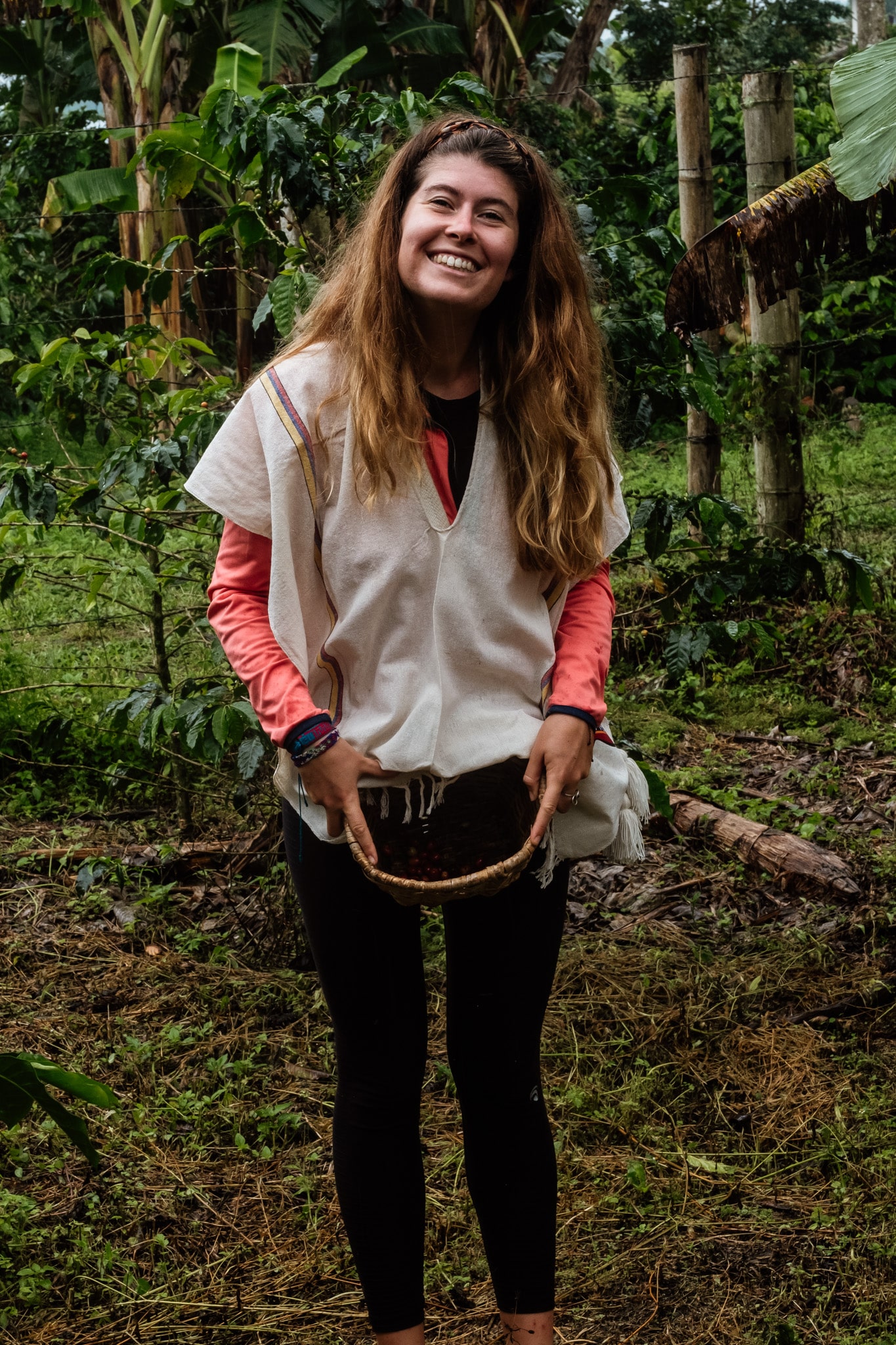 visiter finca cafe filandia colombie