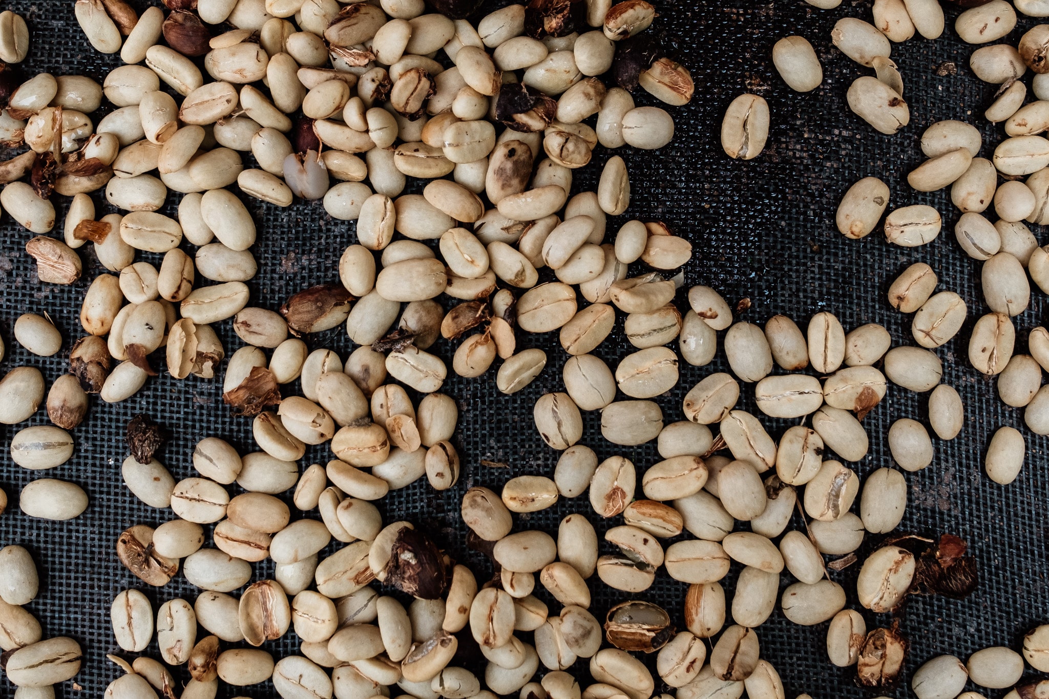 sechage cafe colombie