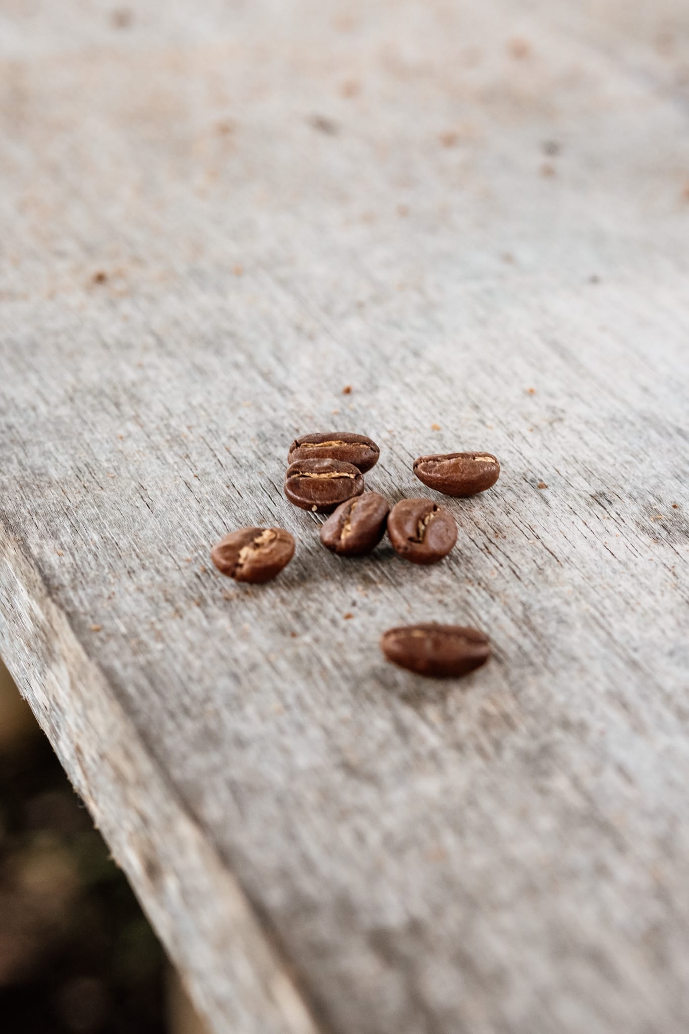 grain de café colombien