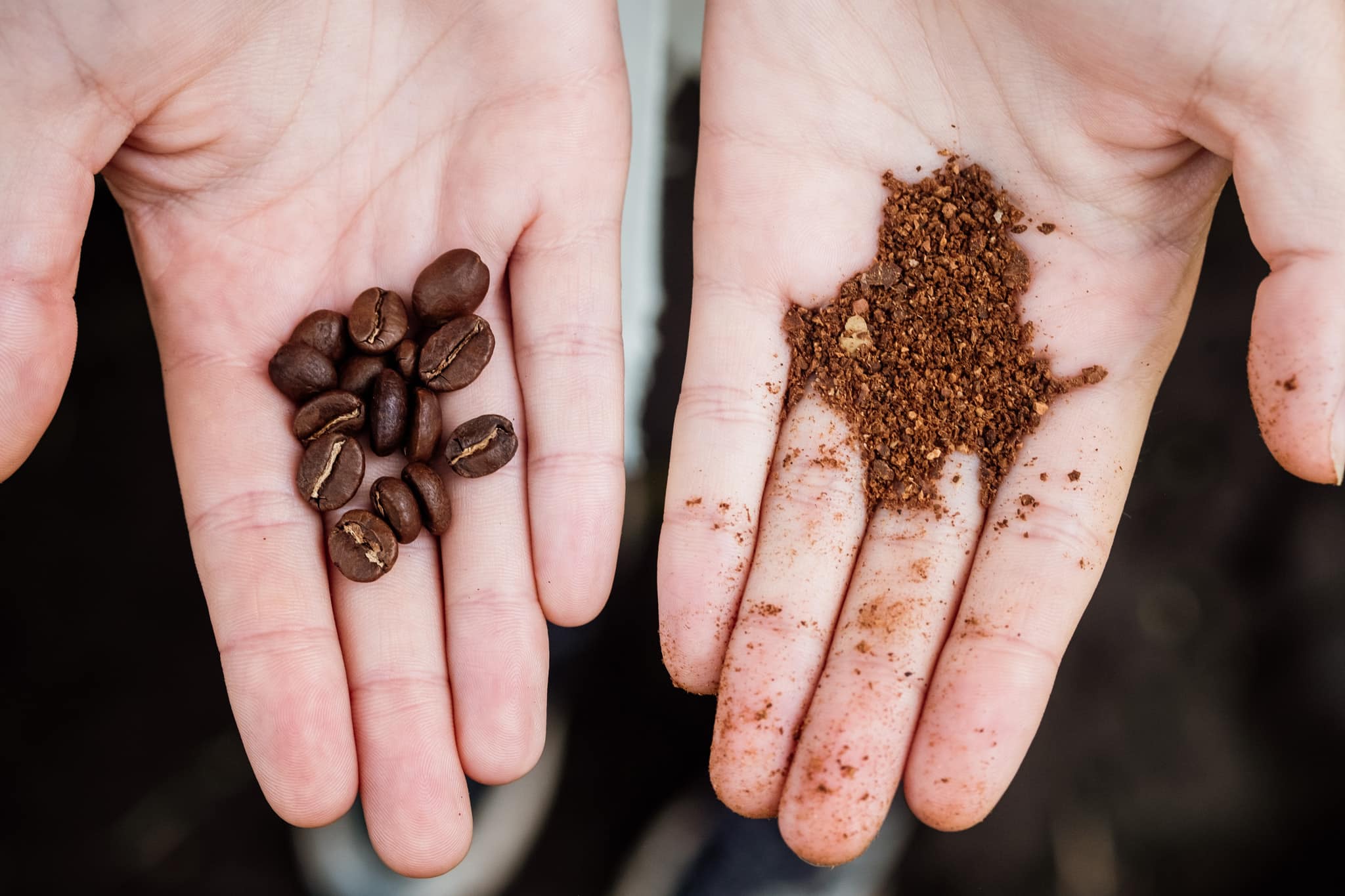 filandia finca café